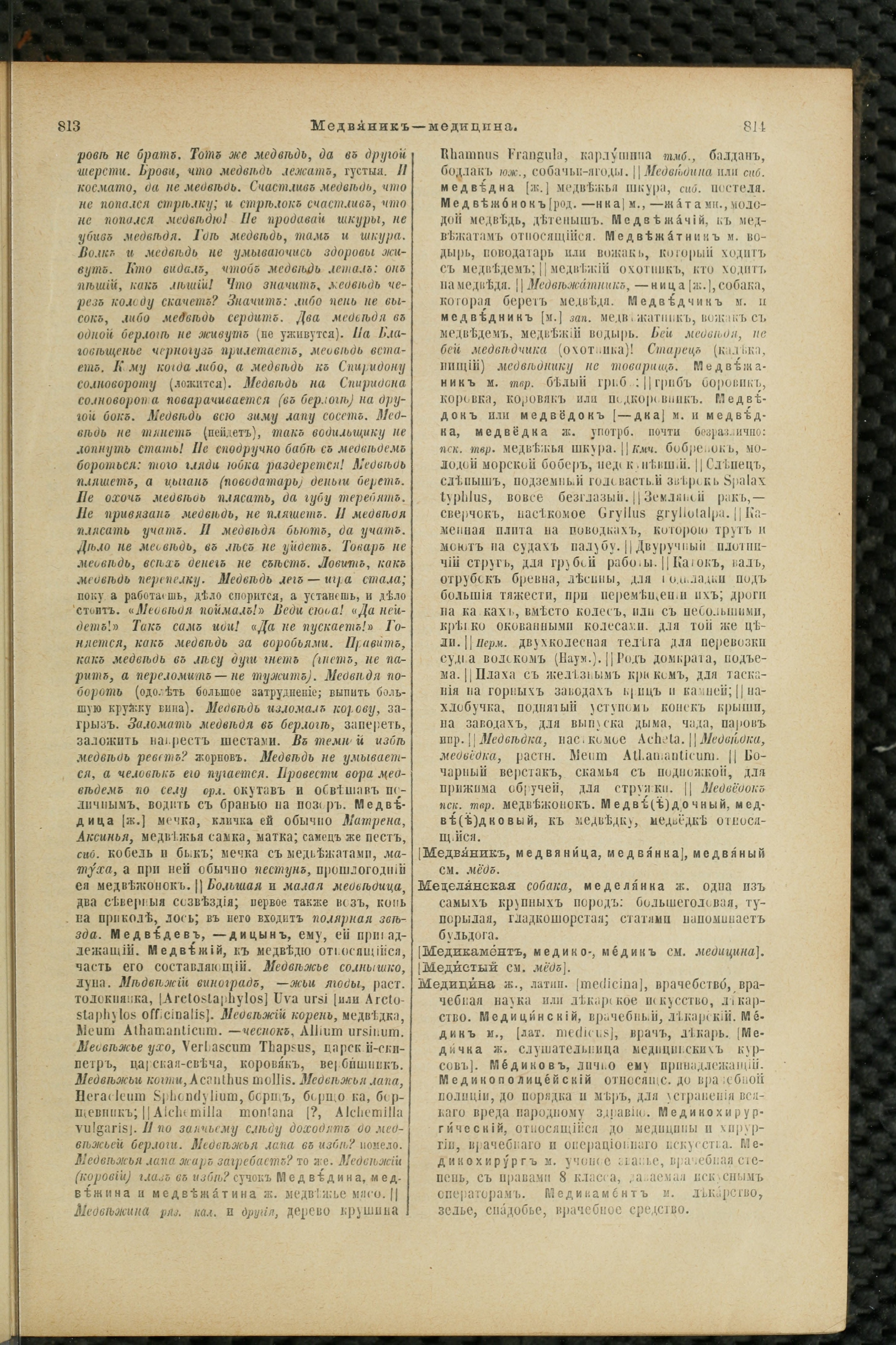 Словарь Даля под редакцией Бодуэна-де-Куртенэ, том 2 pdf скан страницы 411