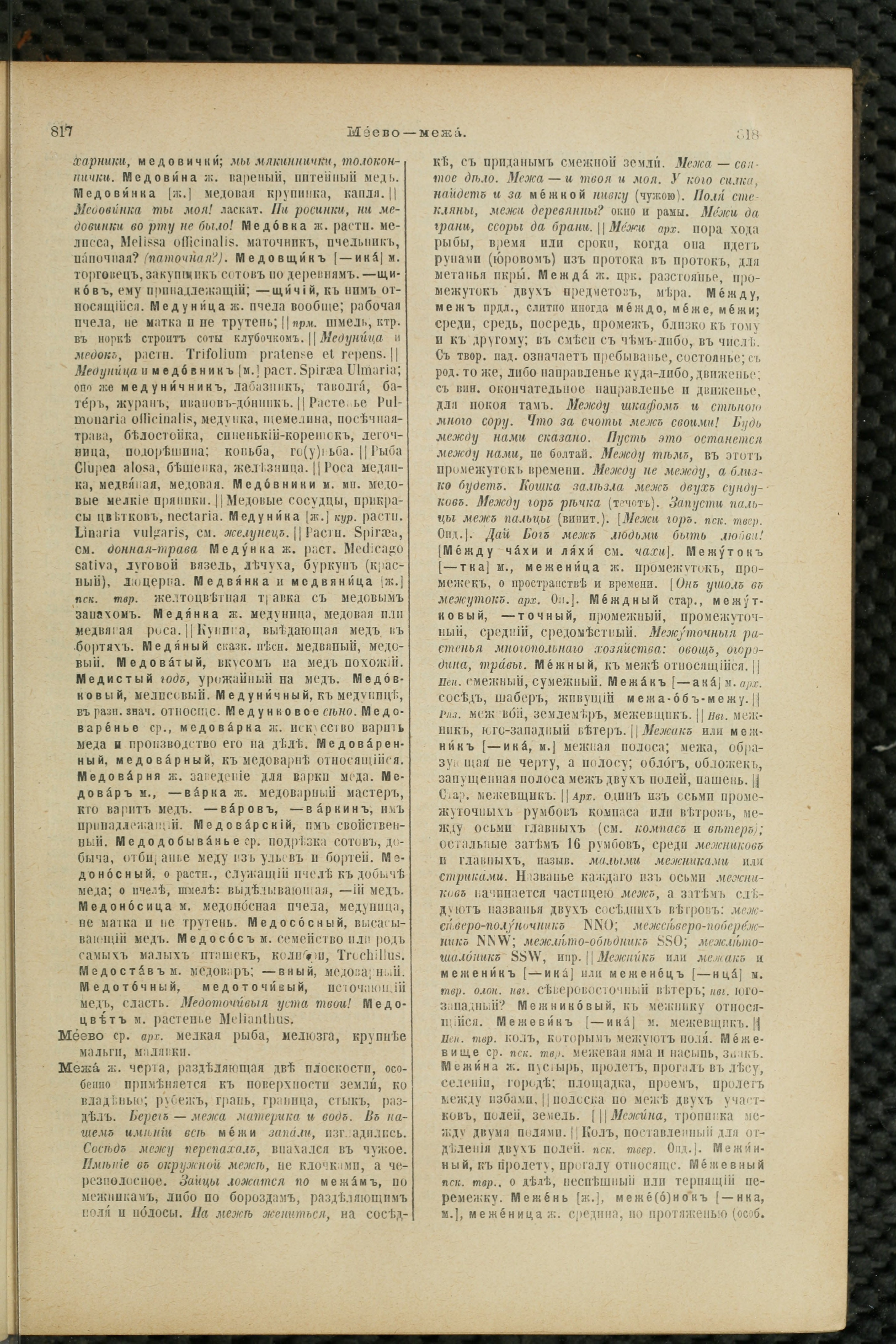 Словарь Даля под редакцией Бодуэна-де-Куртенэ, том 2 pdf скан страницы 413
