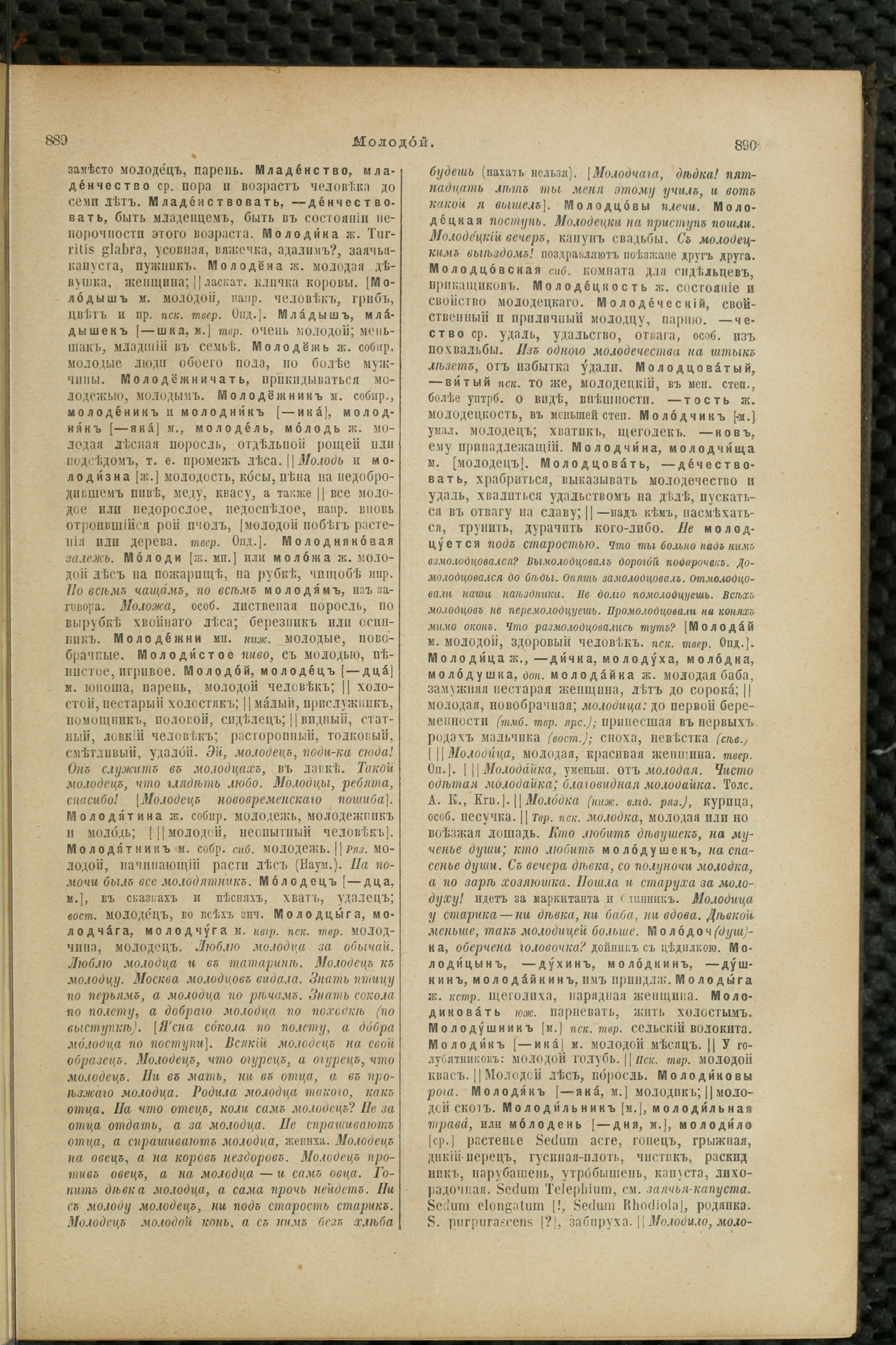 Словарь Даля под редакцией Бодуэна-де-Куртенэ, том 2 pdf скан страницы 449