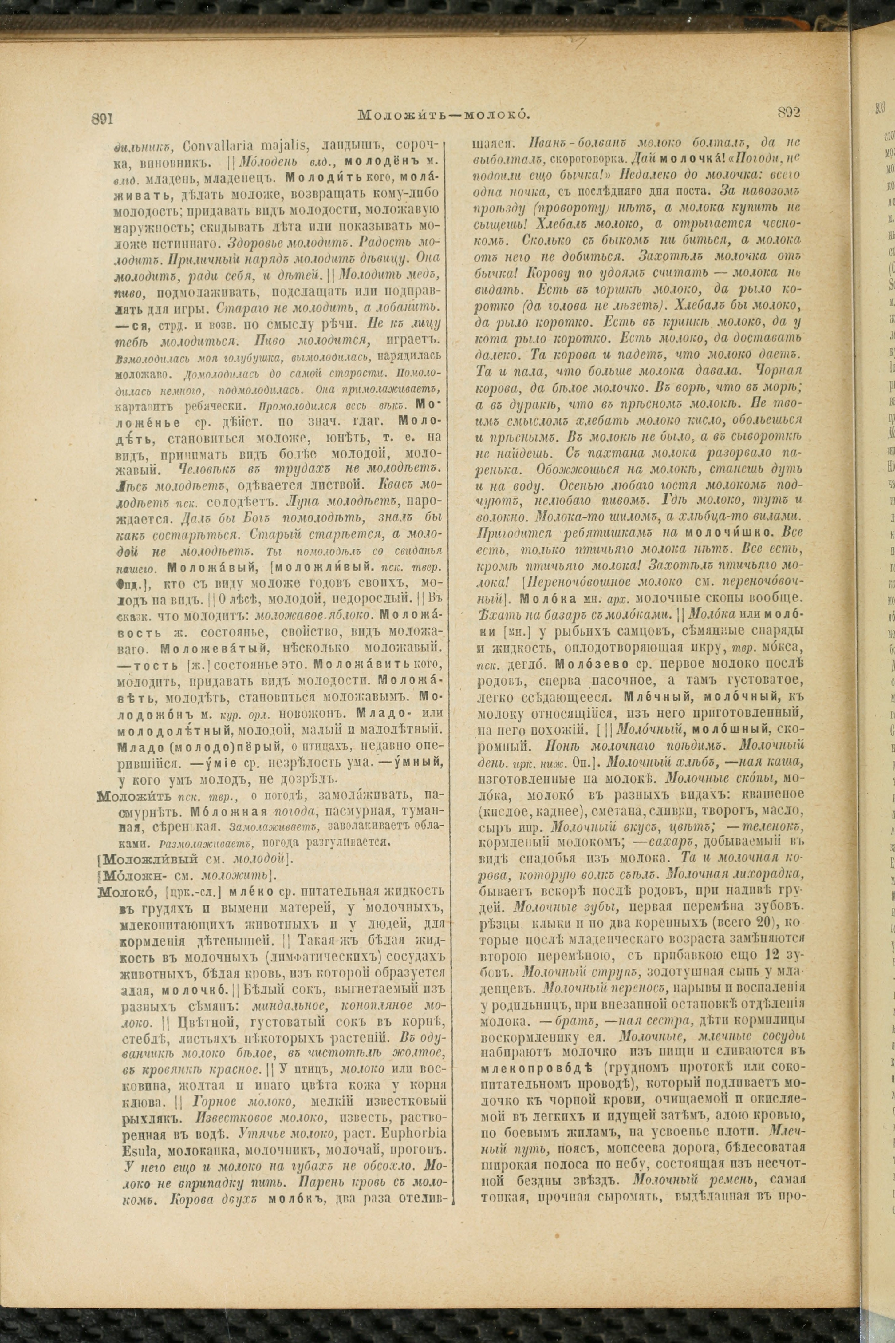 Словарь Даля под редакцией Бодуэна-де-Куртенэ, том 2 pdf скан страницы 450