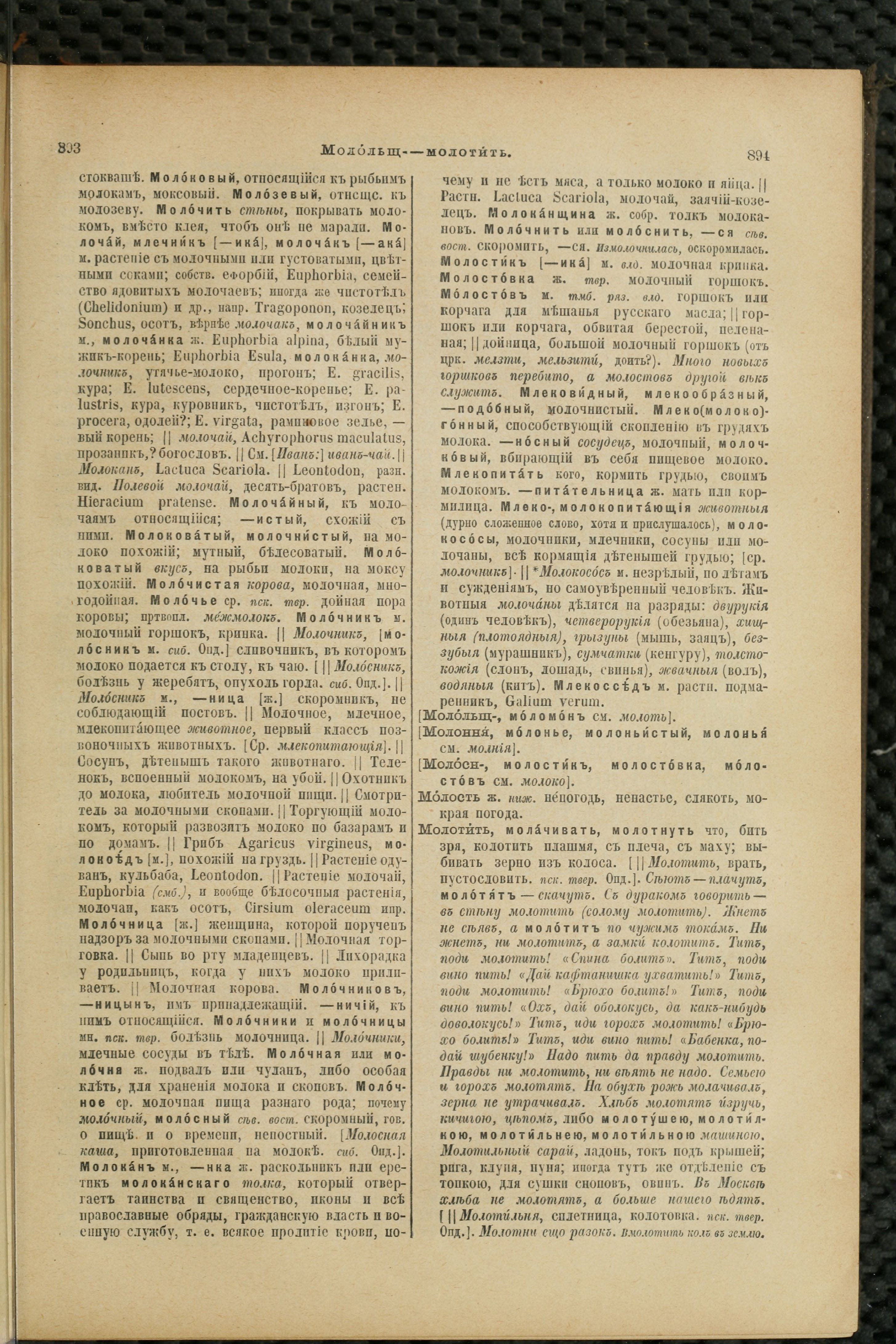 Словарь Даля под редакцией Бодуэна-де-Куртенэ, том 2 pdf скан страницы 451