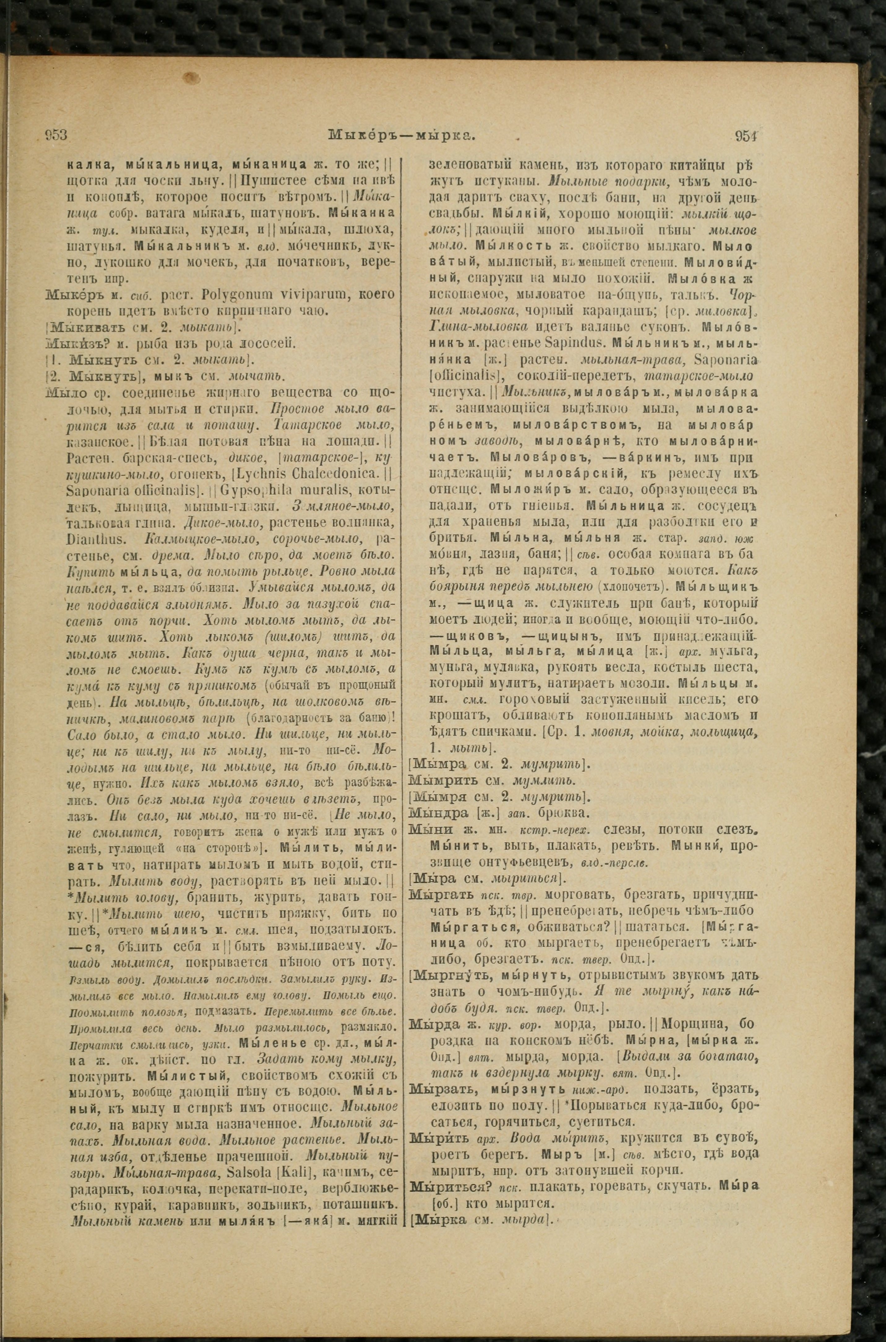 Словарь Даля под редакцией Бодуэна-де-Куртенэ, том 2 pdf скан страницы 481