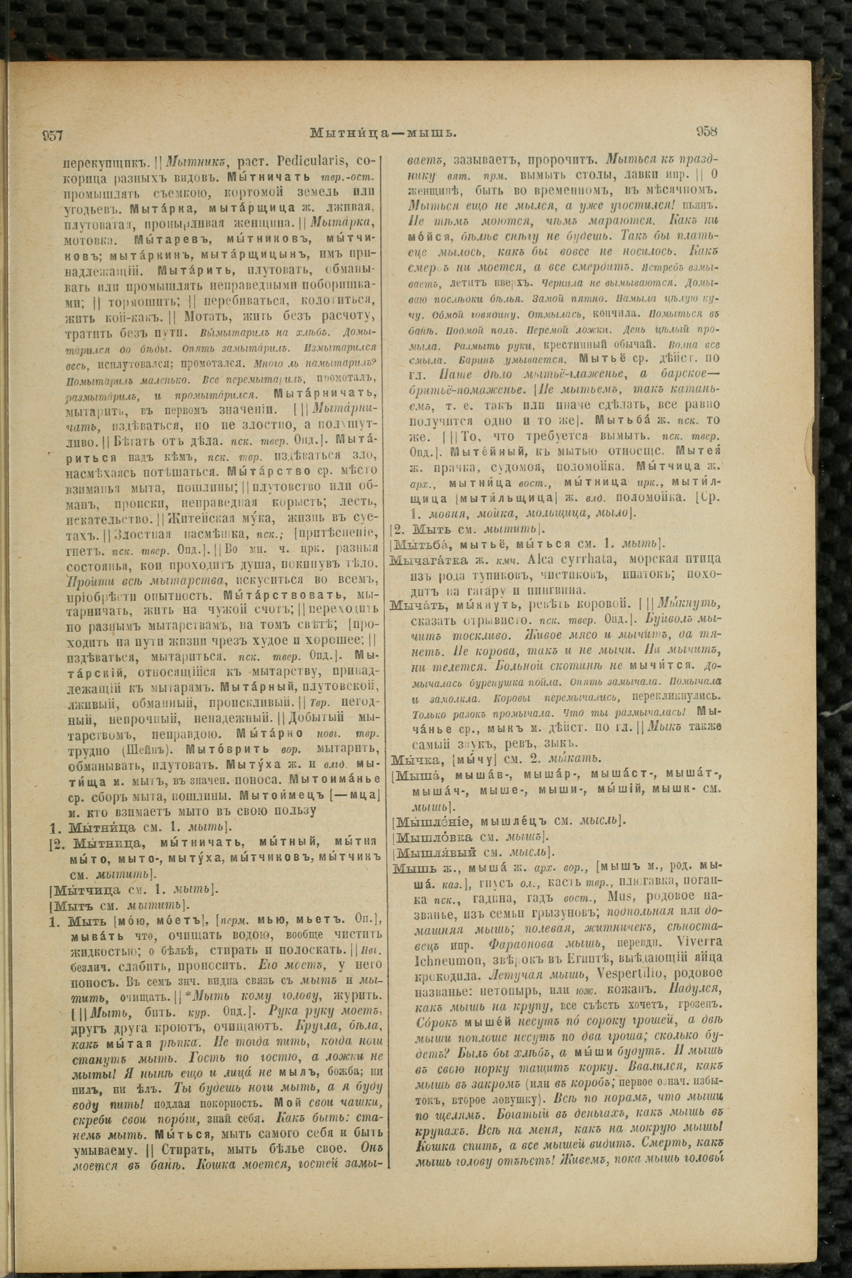 Словарь Даля под редакцией Бодуэна-де-Куртенэ, том 2 pdf скан страницы 483