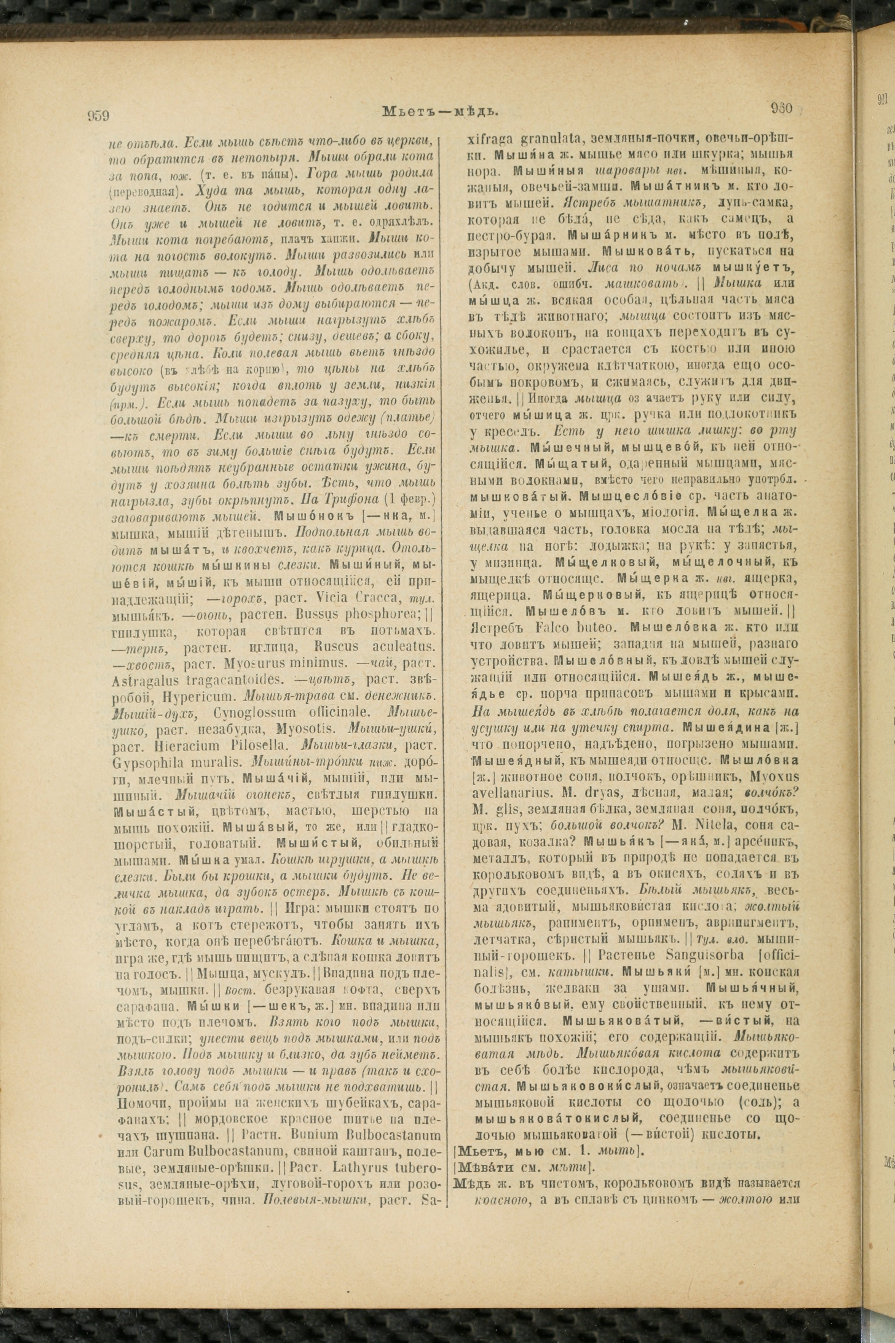 Словарь Даля под редакцией Бодуэна-де-Куртенэ, том 2 pdf скан страницы 484