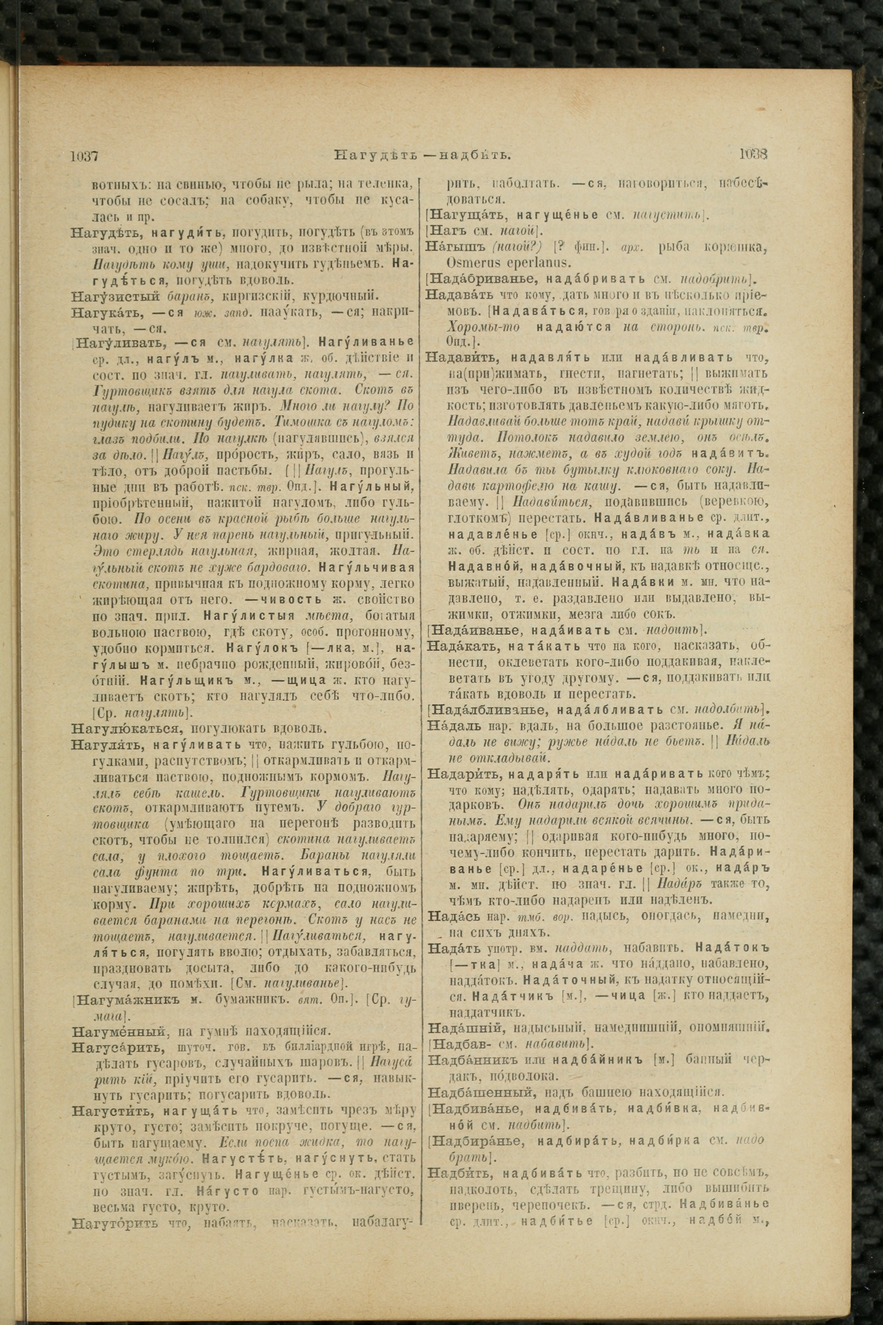 Словарь Даля под редакцией Бодуэна-де-Куртенэ, том 2 pdf скан страницы 523