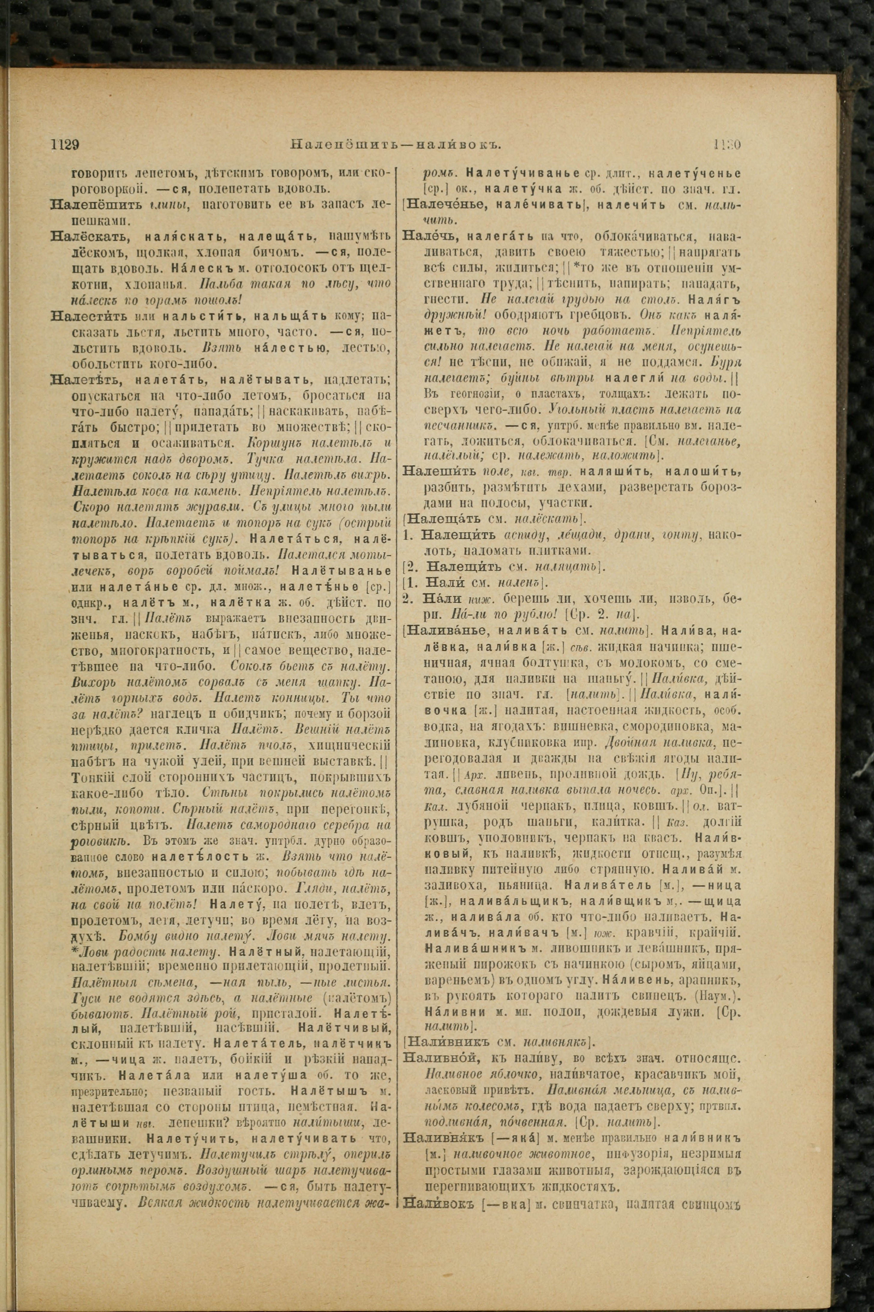Словарь Даля под редакцией Бодуэна-де-Куртенэ, том 2 pdf скан страницы 569