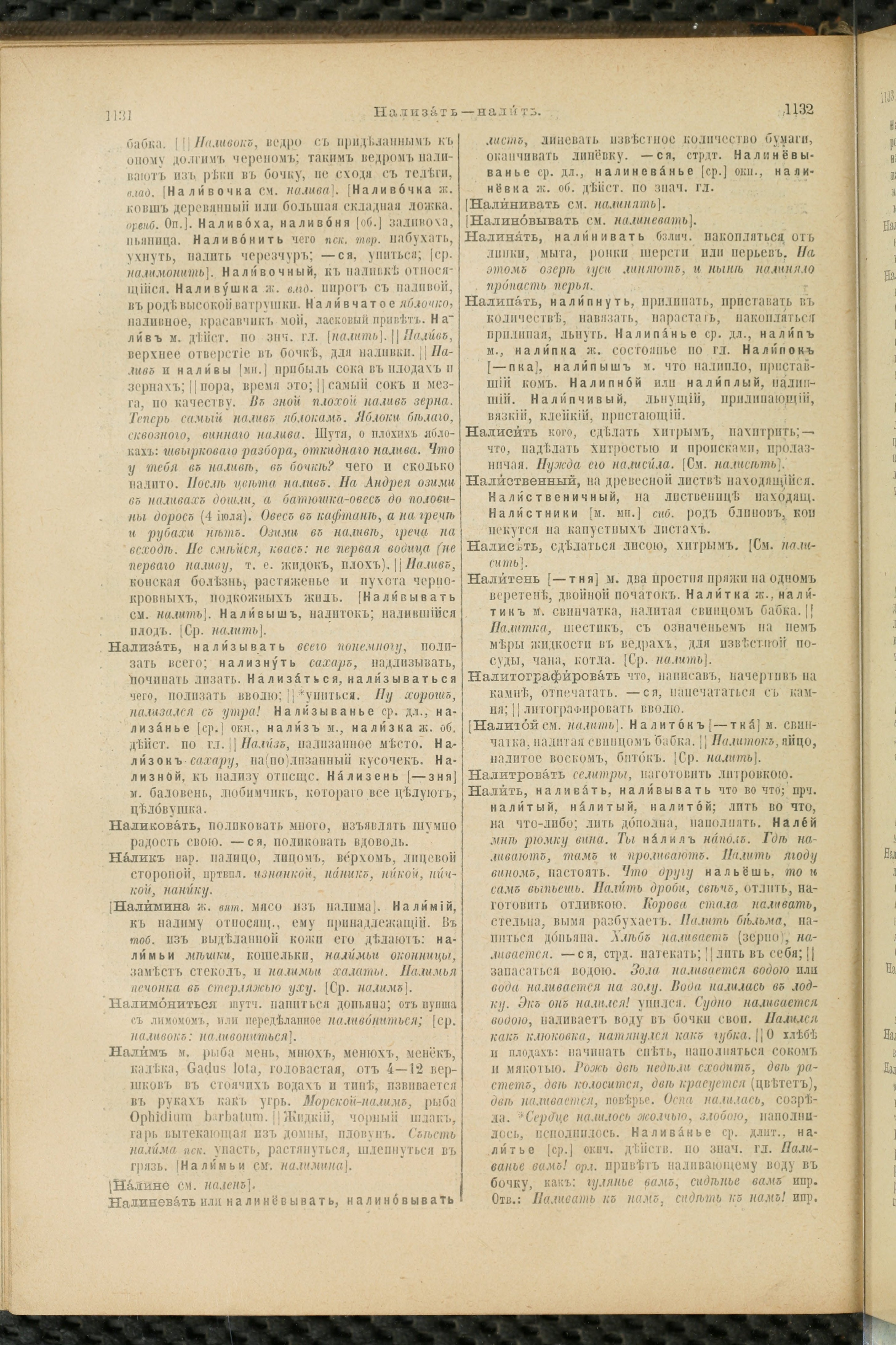 Словарь Даля под редакцией Бодуэна-де-Куртенэ, том 2 pdf скан страницы 570