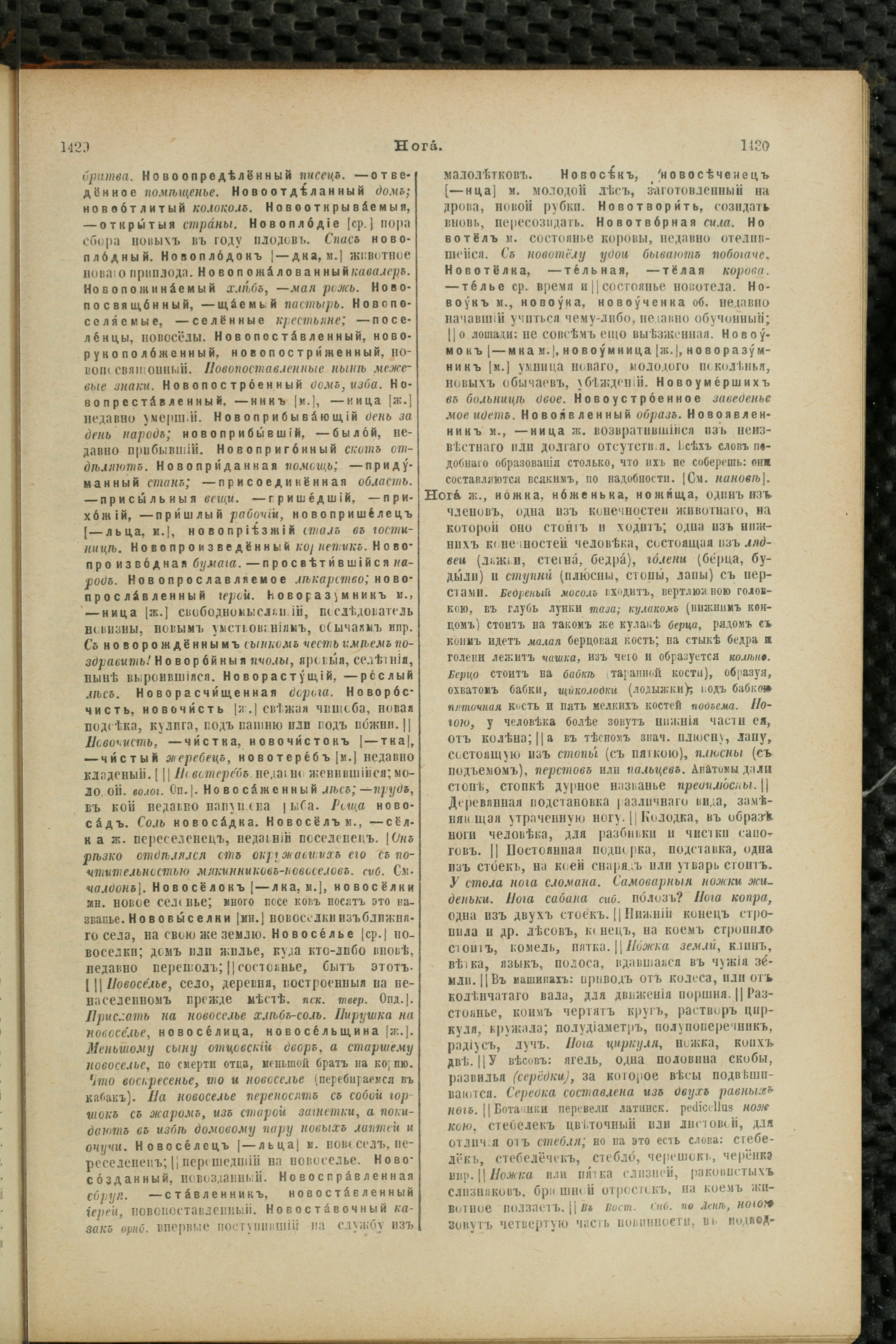 Словарь Даля под редакцией Бодуэна-де-Куртенэ, том 2 pdf скан страницы 719