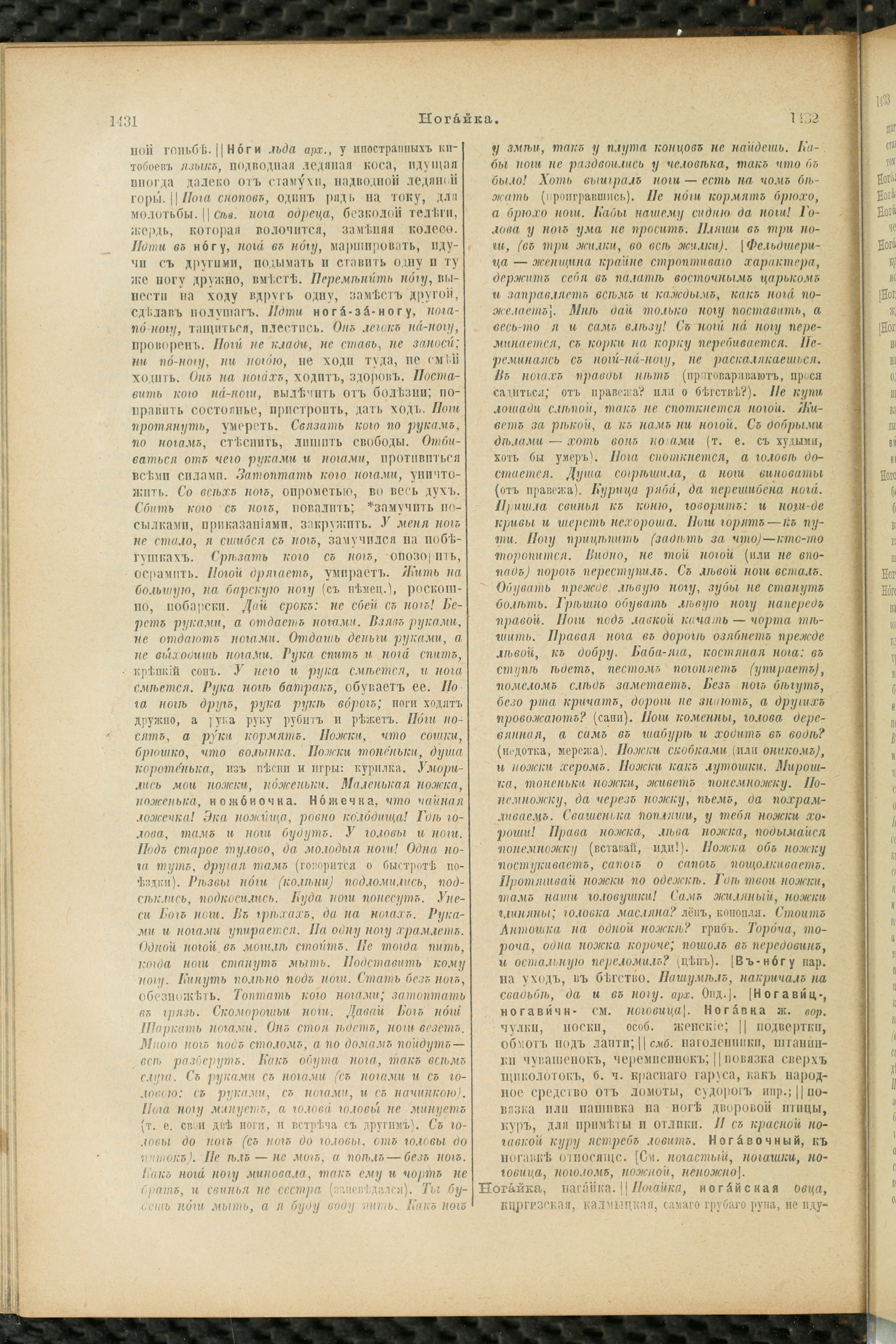 Словарь Даля под редакцией Бодуэна-де-Куртенэ, том 2 pdf скан страницы 720