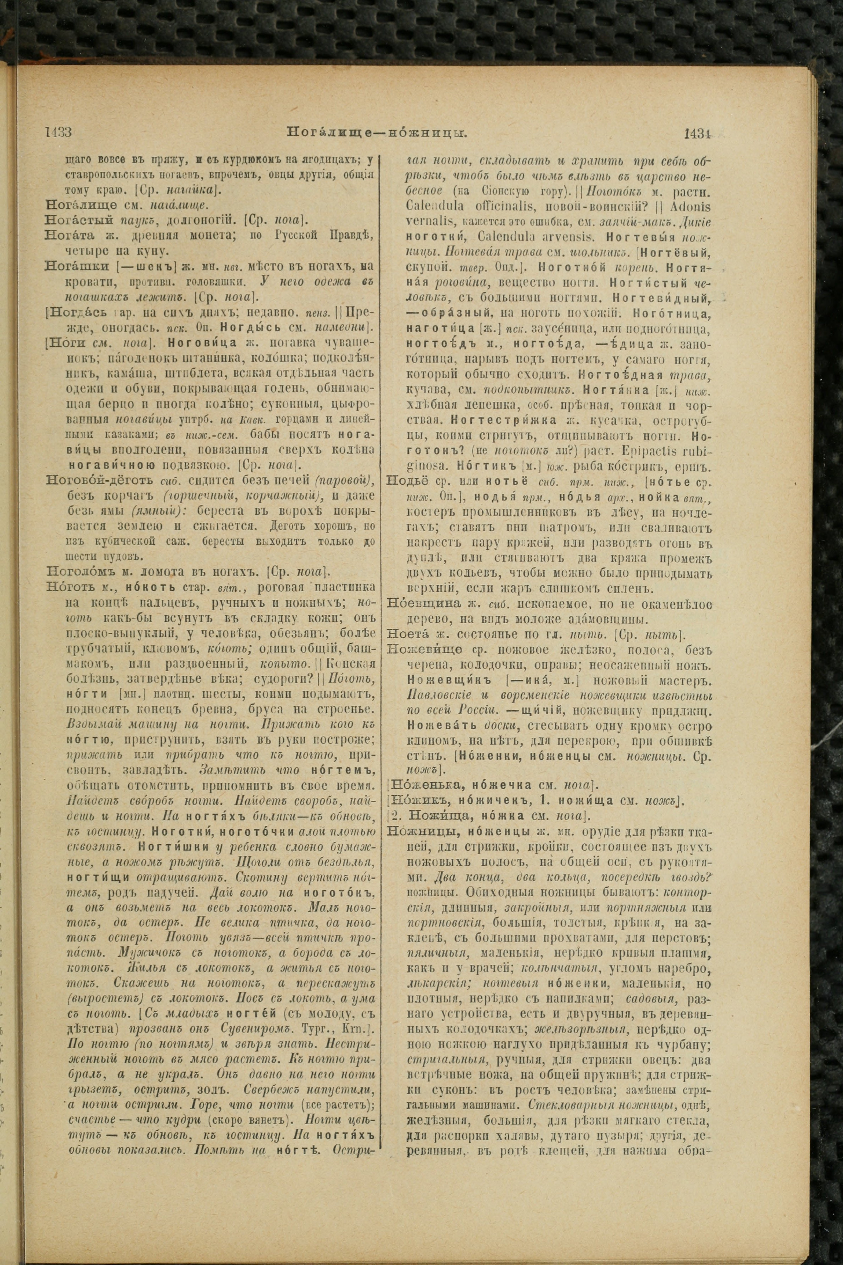 Словарь Даля под редакцией Бодуэна-де-Куртенэ, том 2 pdf скан страницы 721