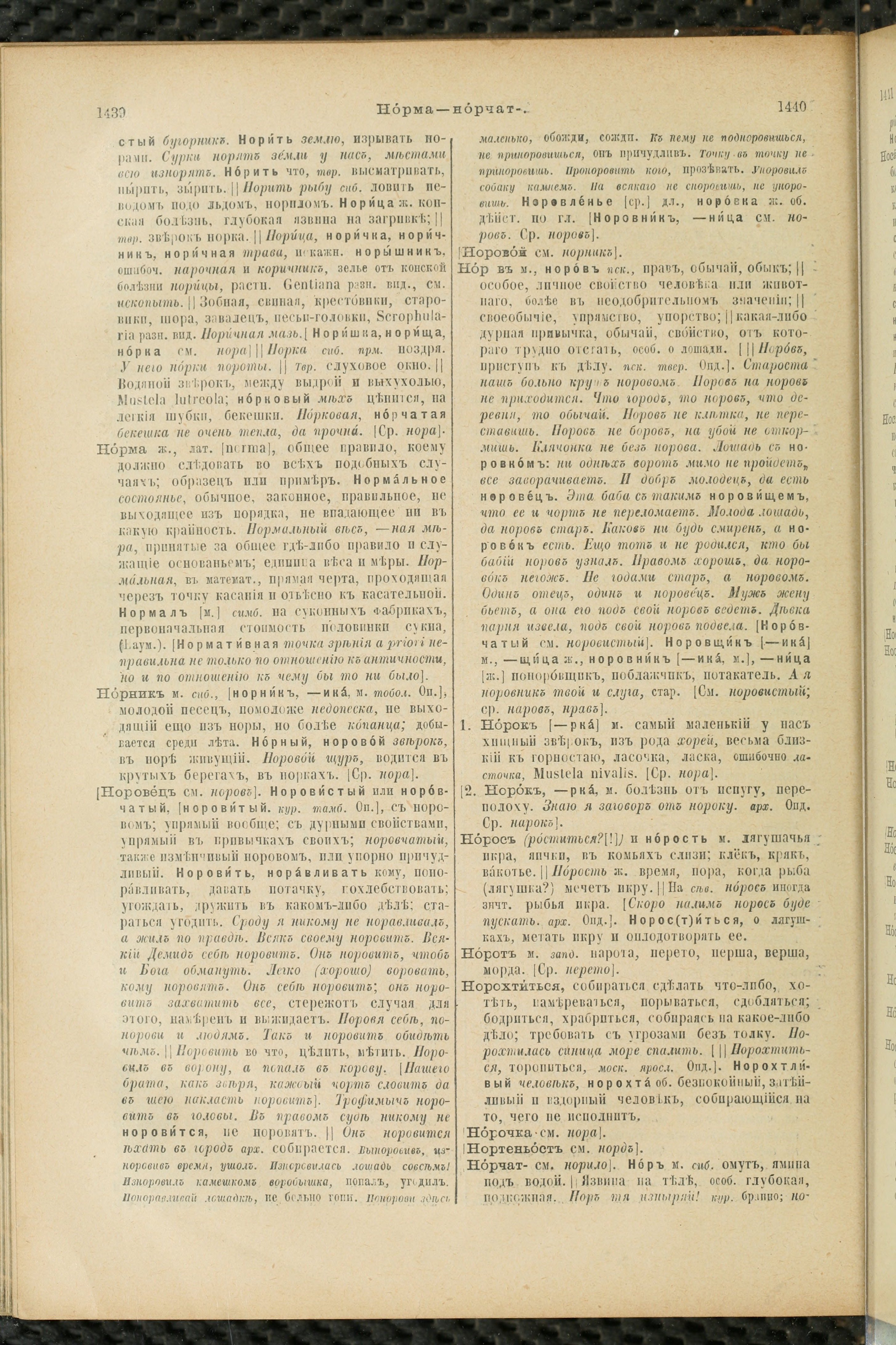 Словарь Даля под редакцией Бодуэна-де-Куртенэ, том 2 pdf скан страницы 724