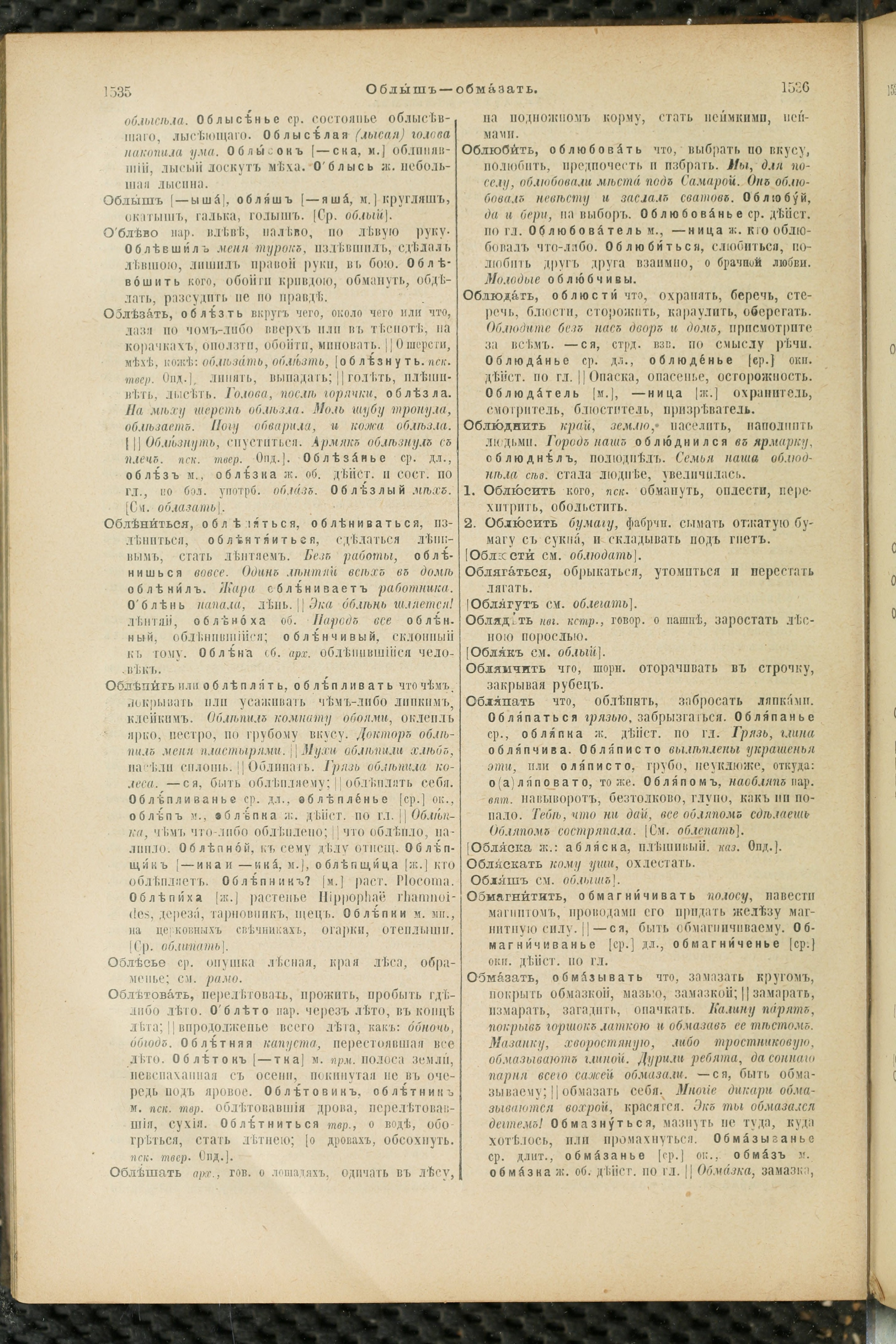 Словарь Даля под редакцией Бодуэна-де-Куртенэ, том 2 pdf скан страницы 772