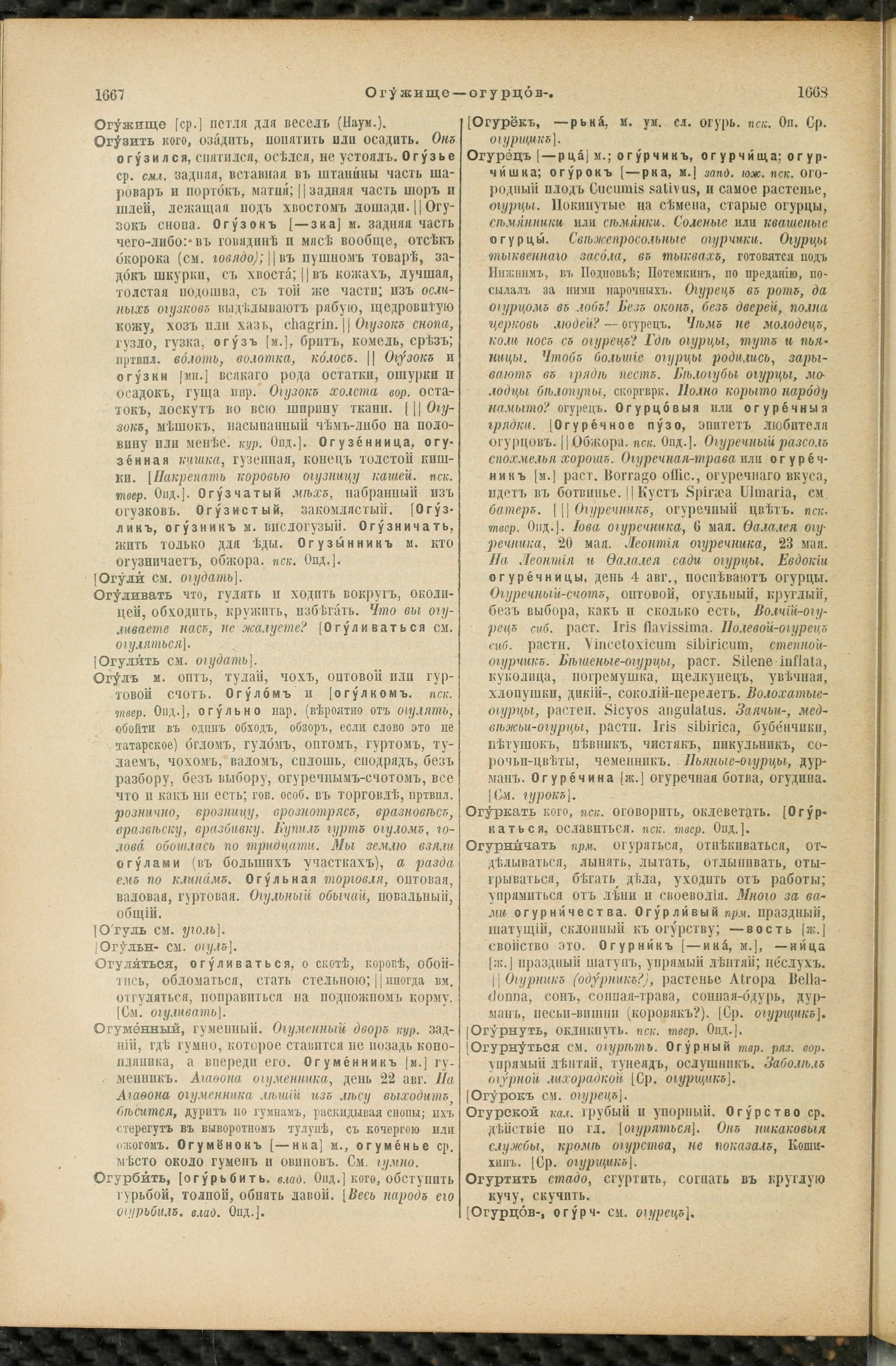 Словарь Даля под редакцией Бодуэна-де-Куртенэ, том 2 pdf скан страницы 838