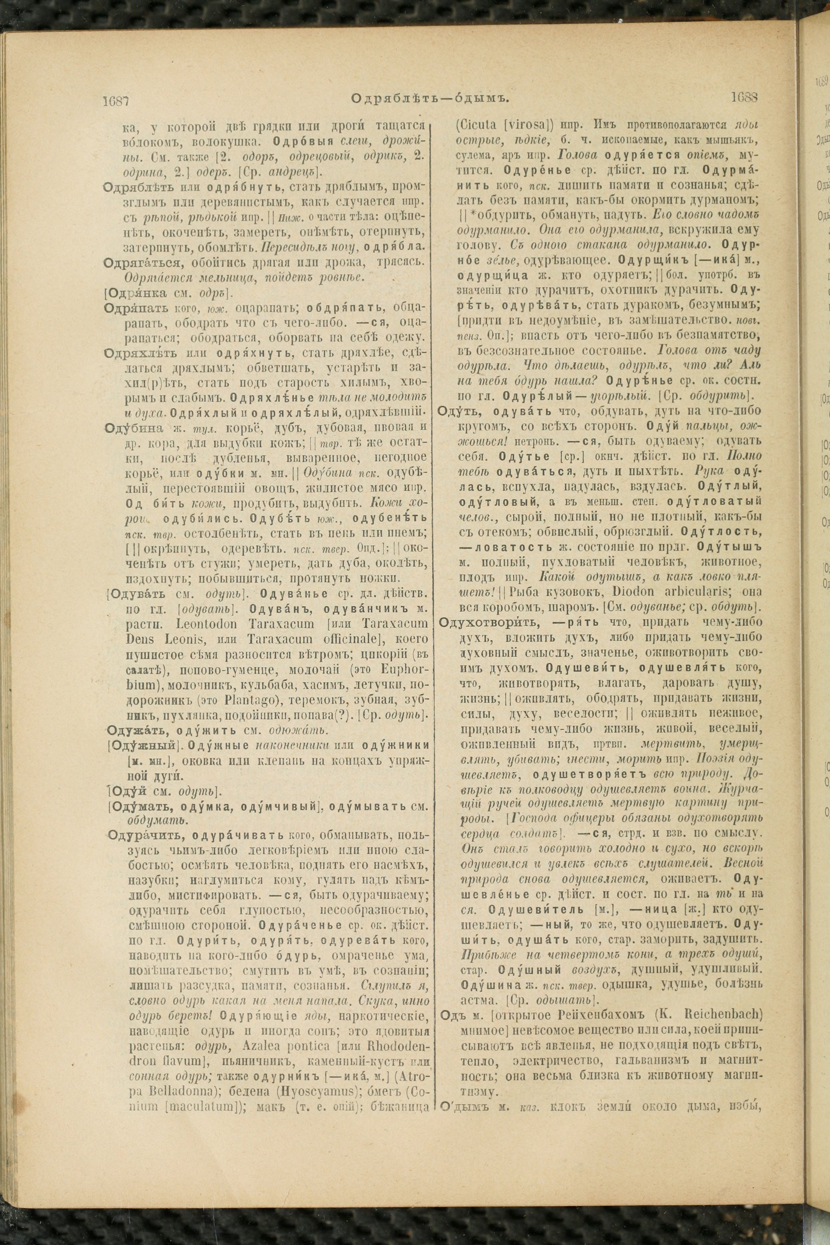 Словарь Даля под редакцией Бодуэна-де-Куртенэ, том 2 pdf скан страницы 848
