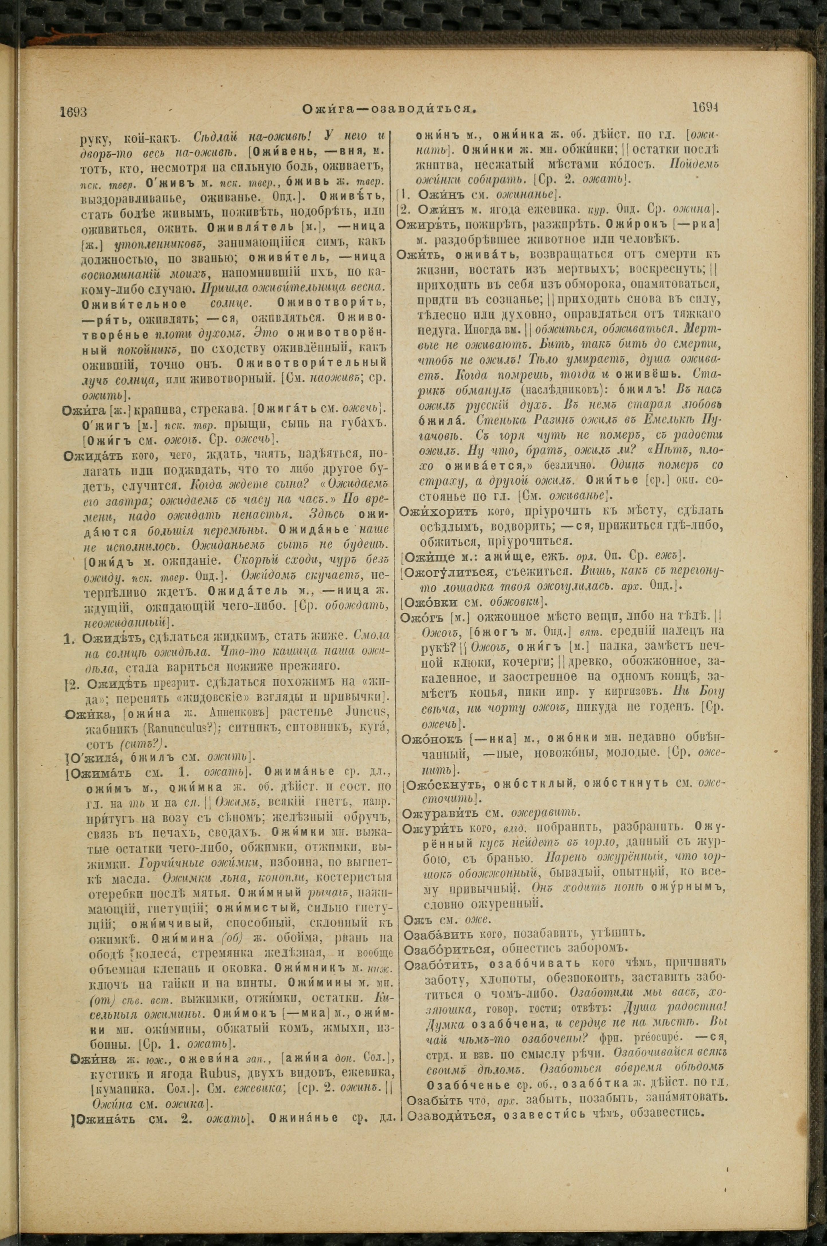 Словарь Даля под редакцией Бодуэна-де-Куртенэ, том 2 pdf скан страницы 851