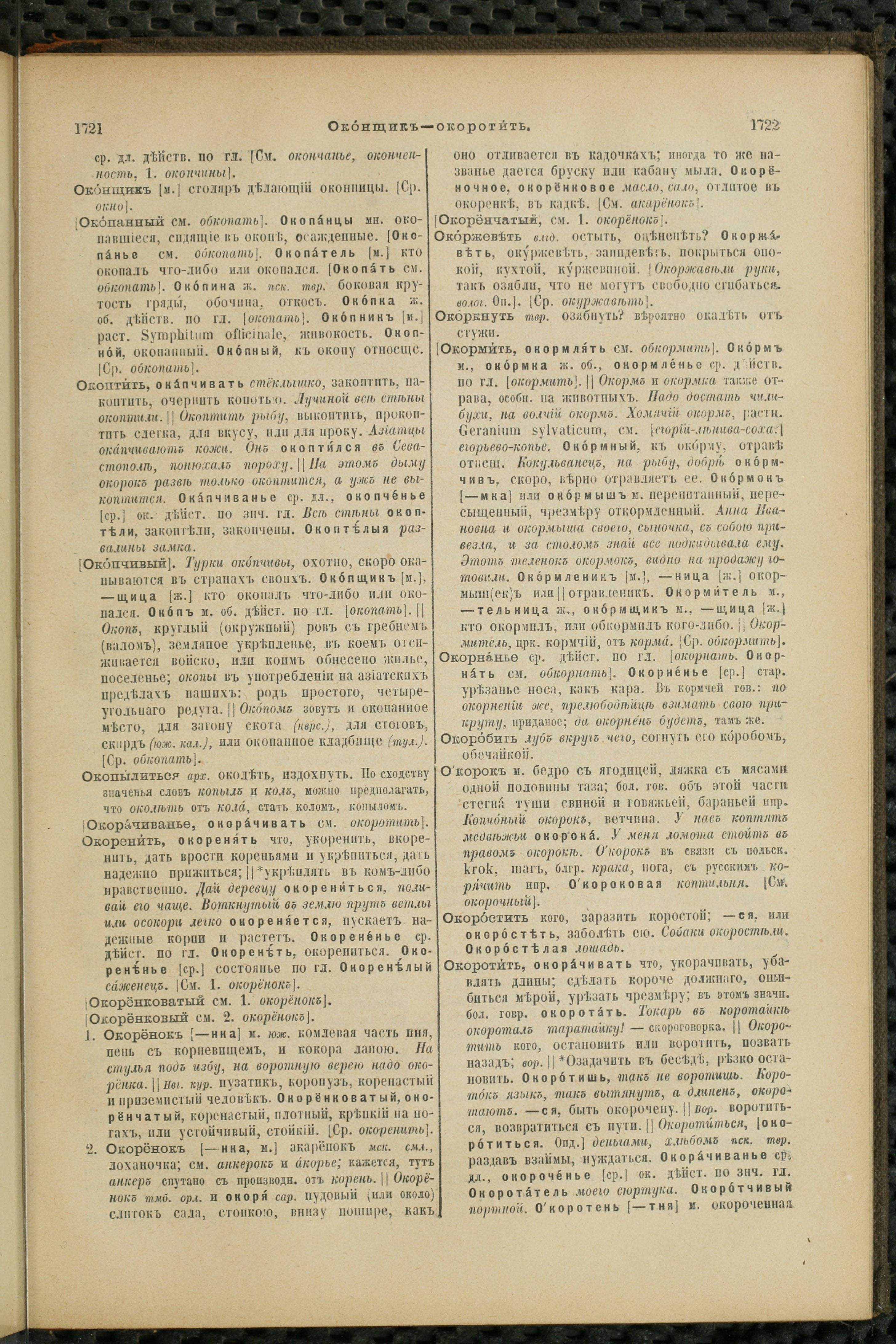 Словарь Даля под редакцией Бодуэна-де-Куртенэ, том 2 pdf скан страницы 865