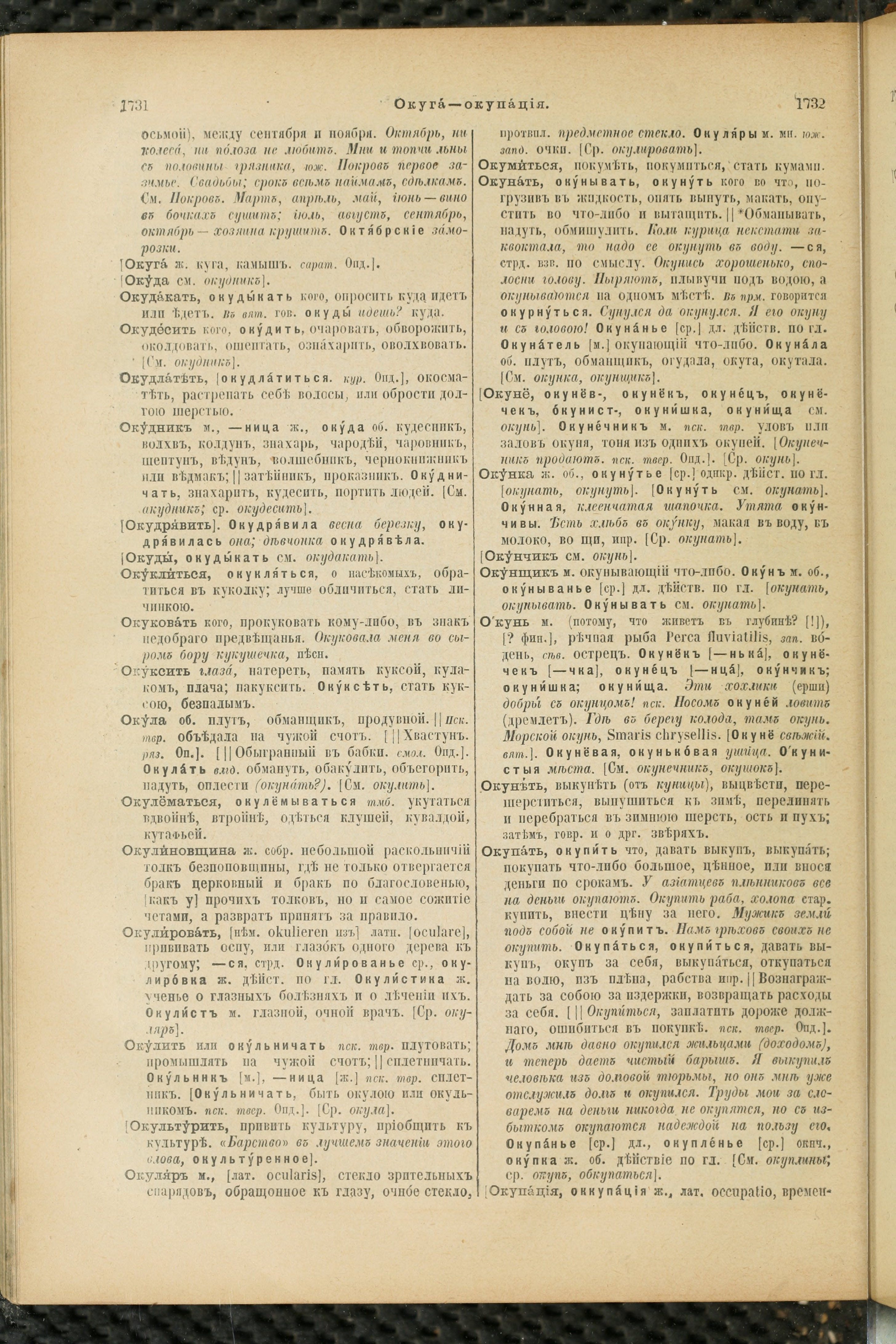 Словарь Даля под редакцией Бодуэна-де-Куртенэ, том 2 pdf скан страницы 870