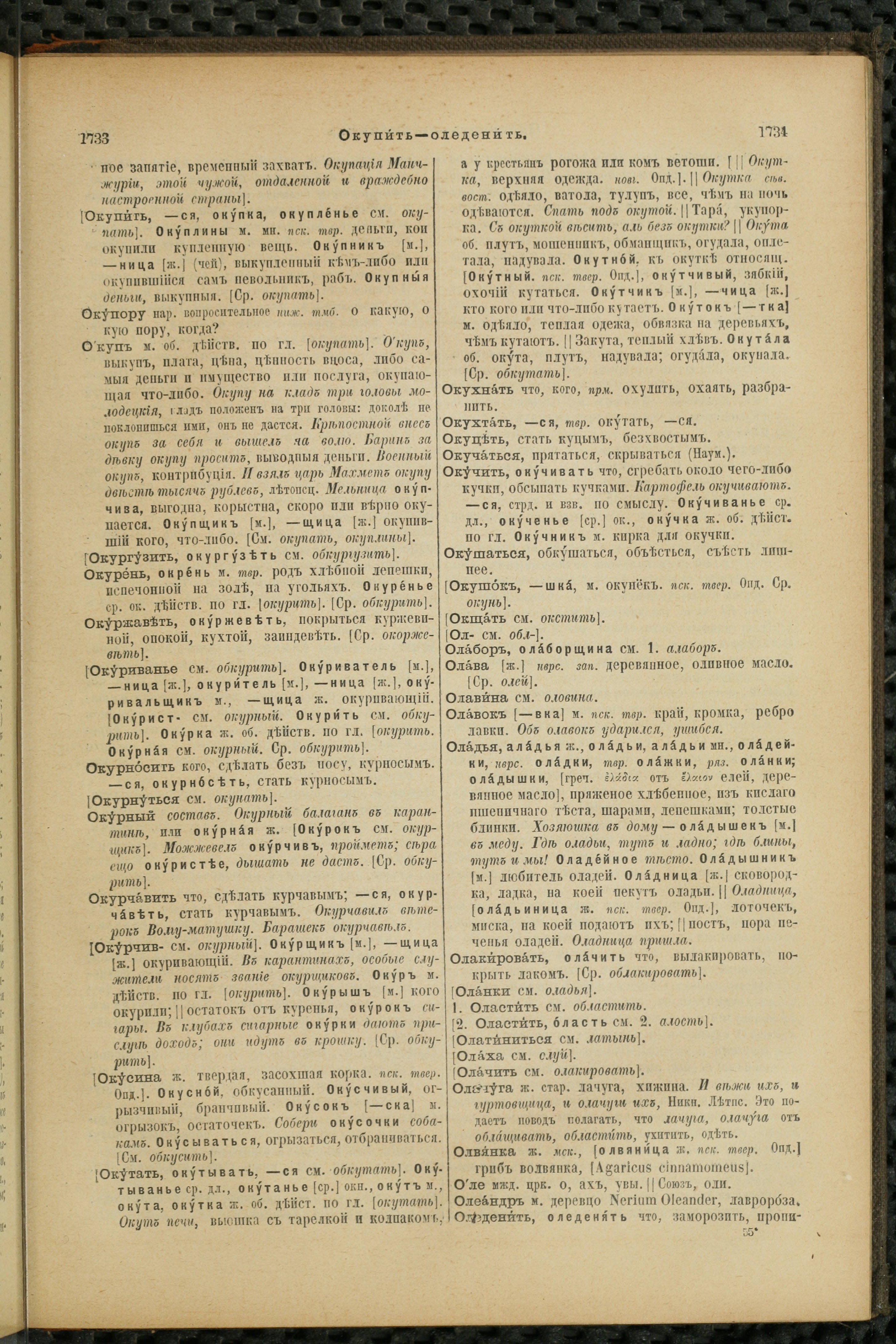 Словарь Даля под редакцией Бодуэна-де-Куртенэ, том 2 pdf скан страницы 871