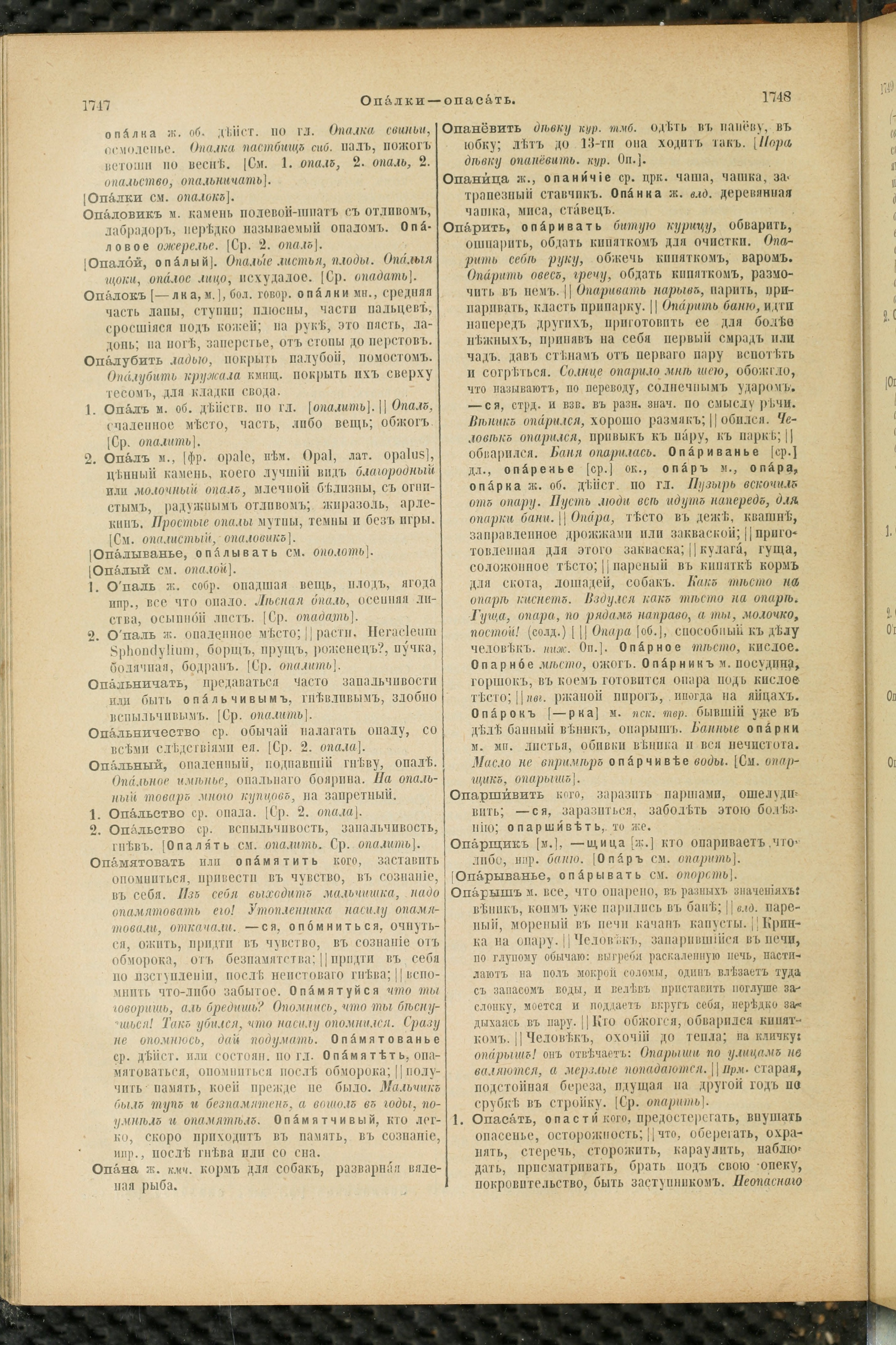 Словарь Даля под редакцией Бодуэна-де-Куртенэ, том 2 pdf скан страницы 878