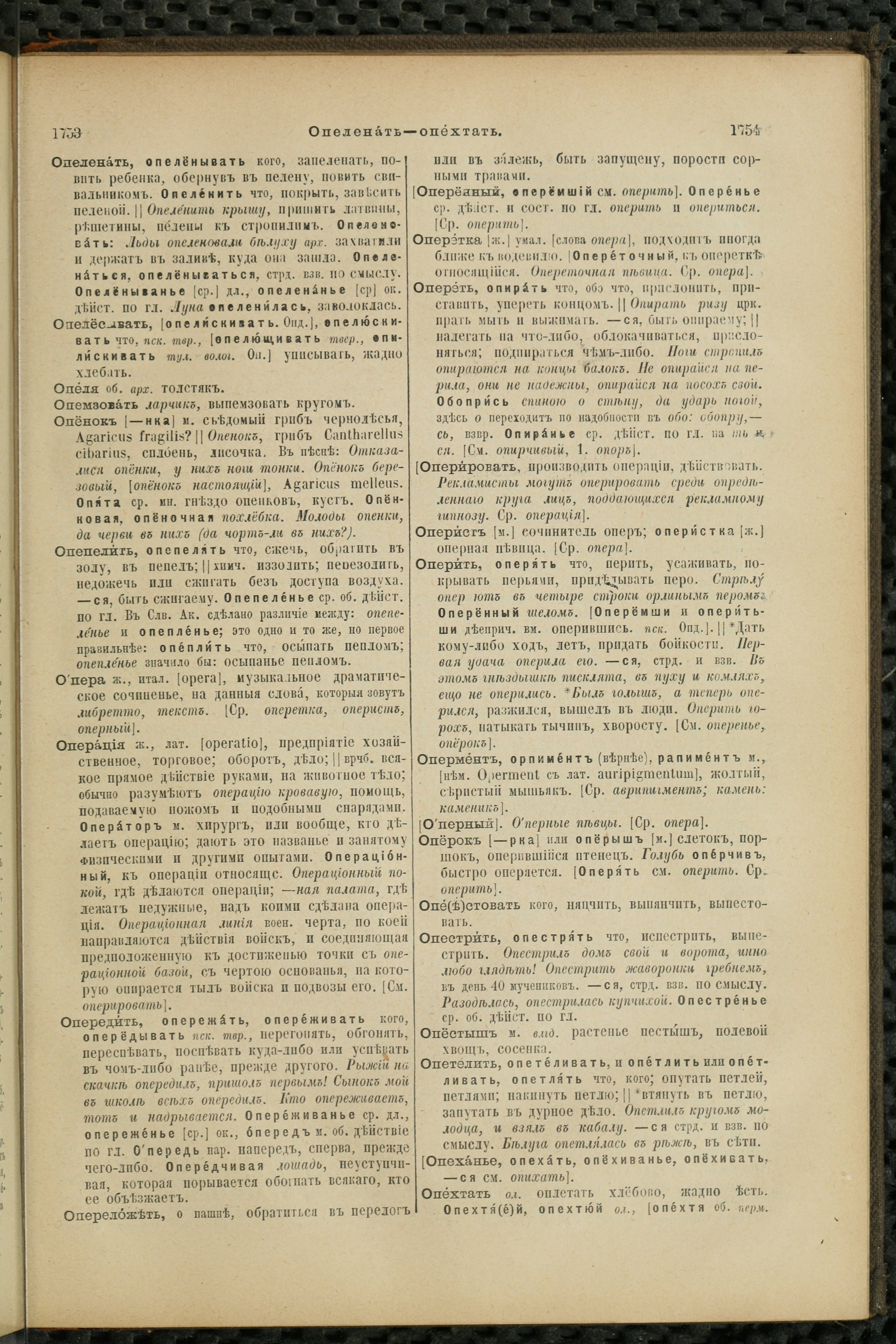Словарь Даля под редакцией Бодуэна-де-Куртенэ, том 2 pdf скан страницы 881