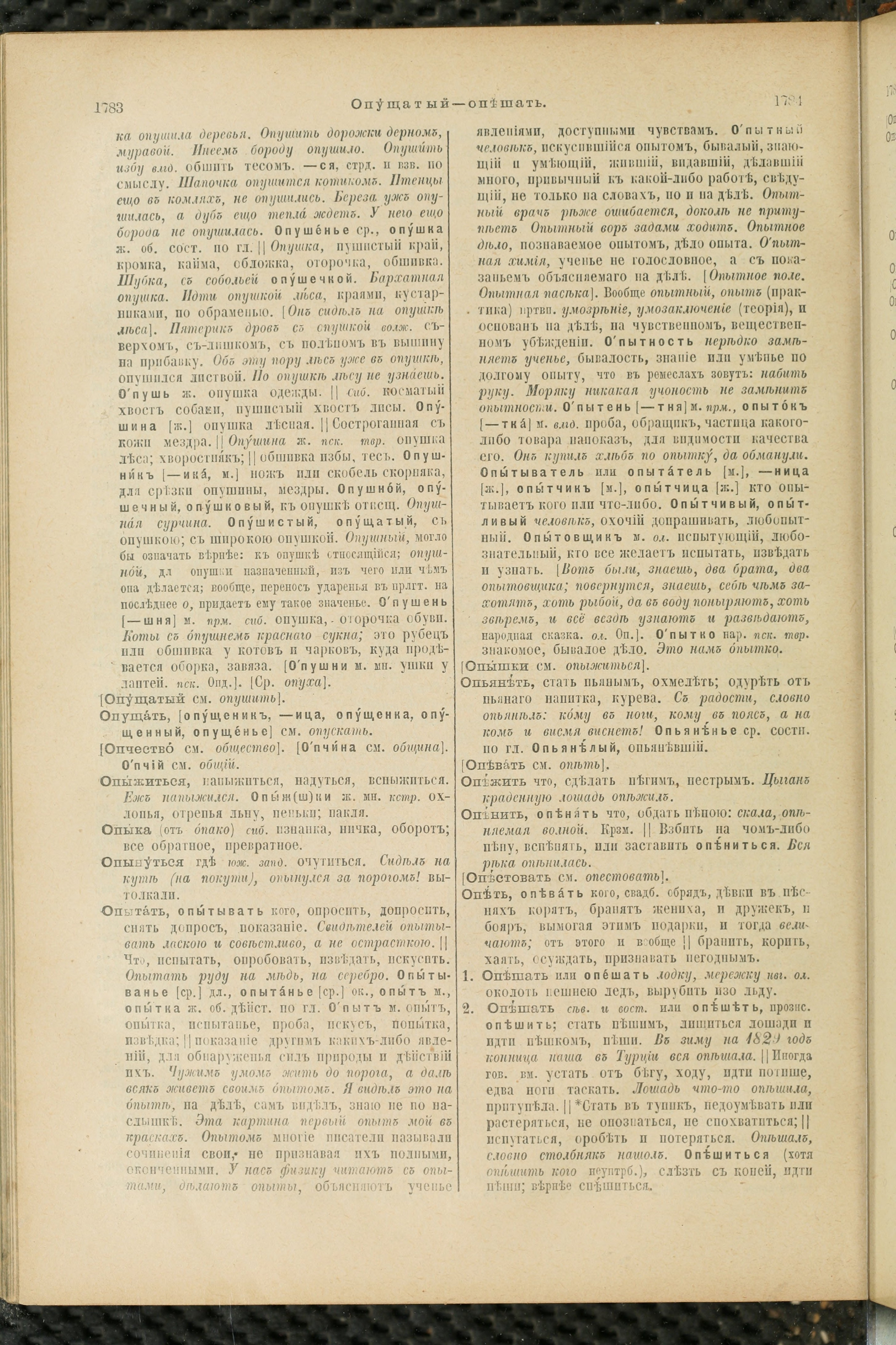 Словарь Даля под редакцией Бодуэна-де-Куртенэ, том 2 pdf скан страницы 896