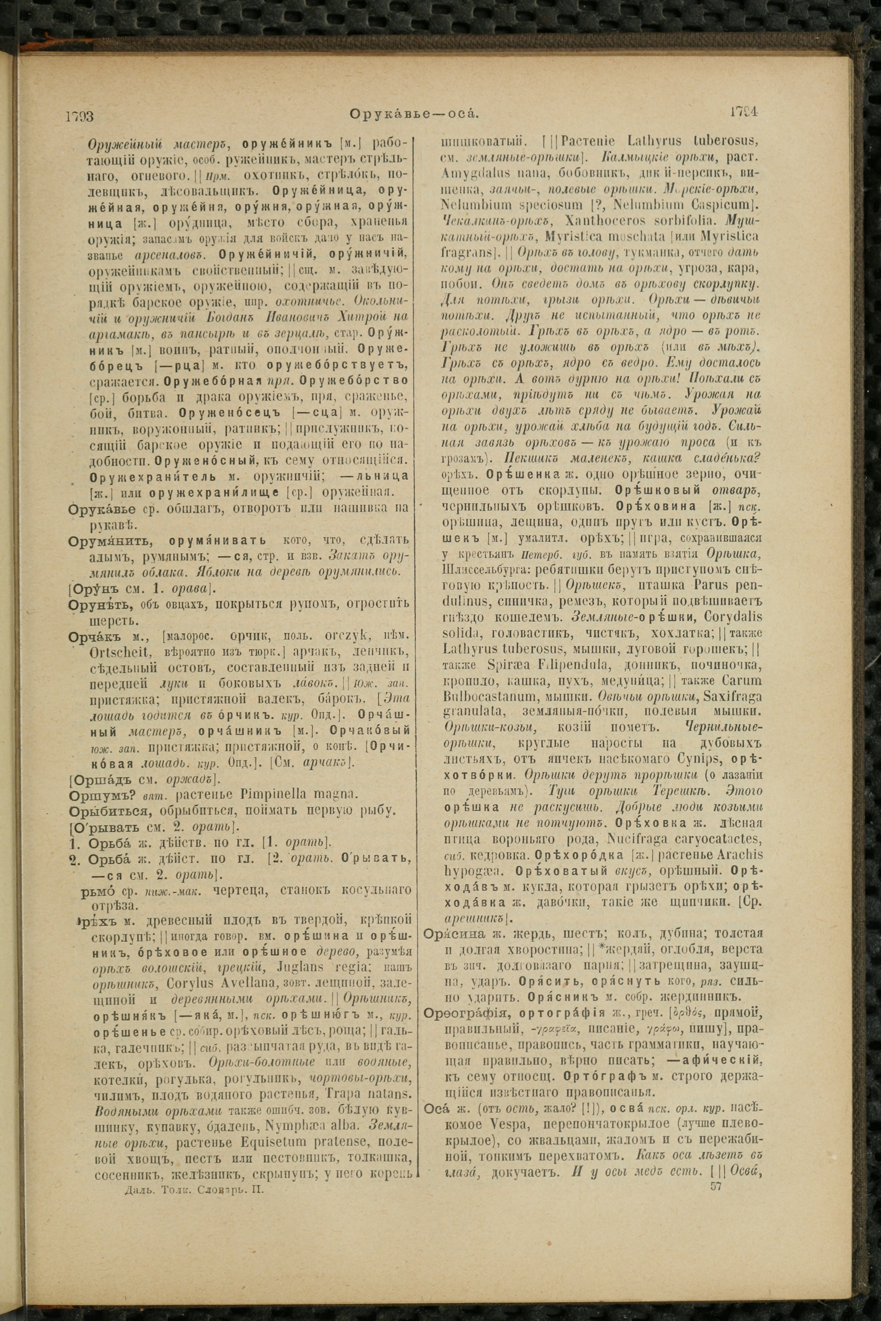 Словарь Даля под редакцией Бодуэна-де-Куртенэ, том 2 pdf скан страницы 901