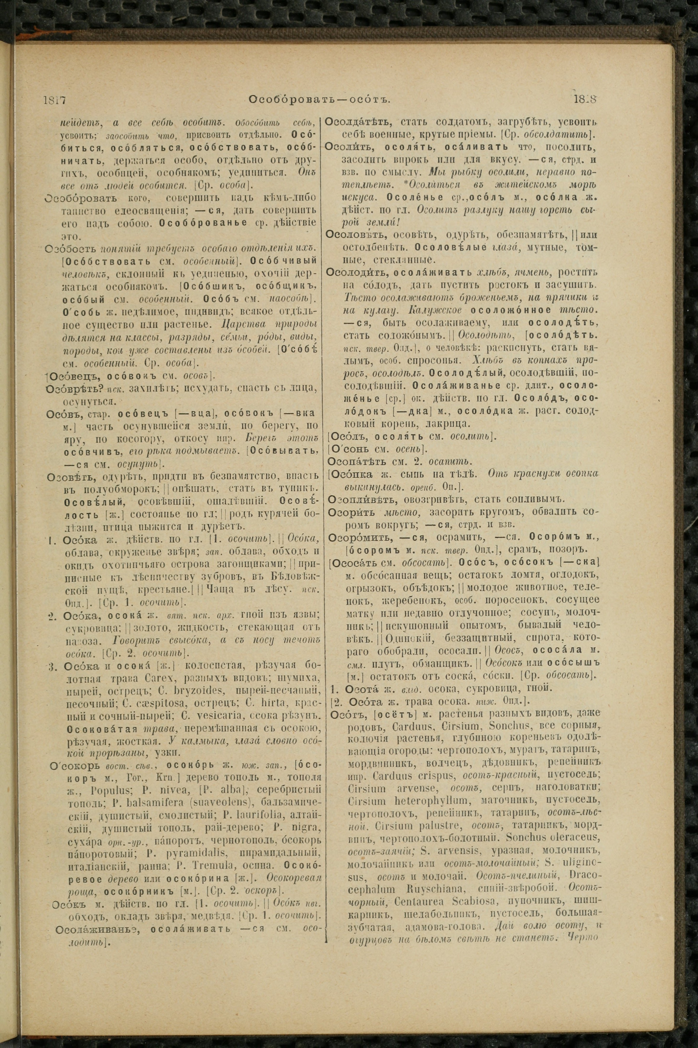 Словарь Даля под редакцией Бодуэна-де-Куртенэ, том 2 pdf скан страницы 913