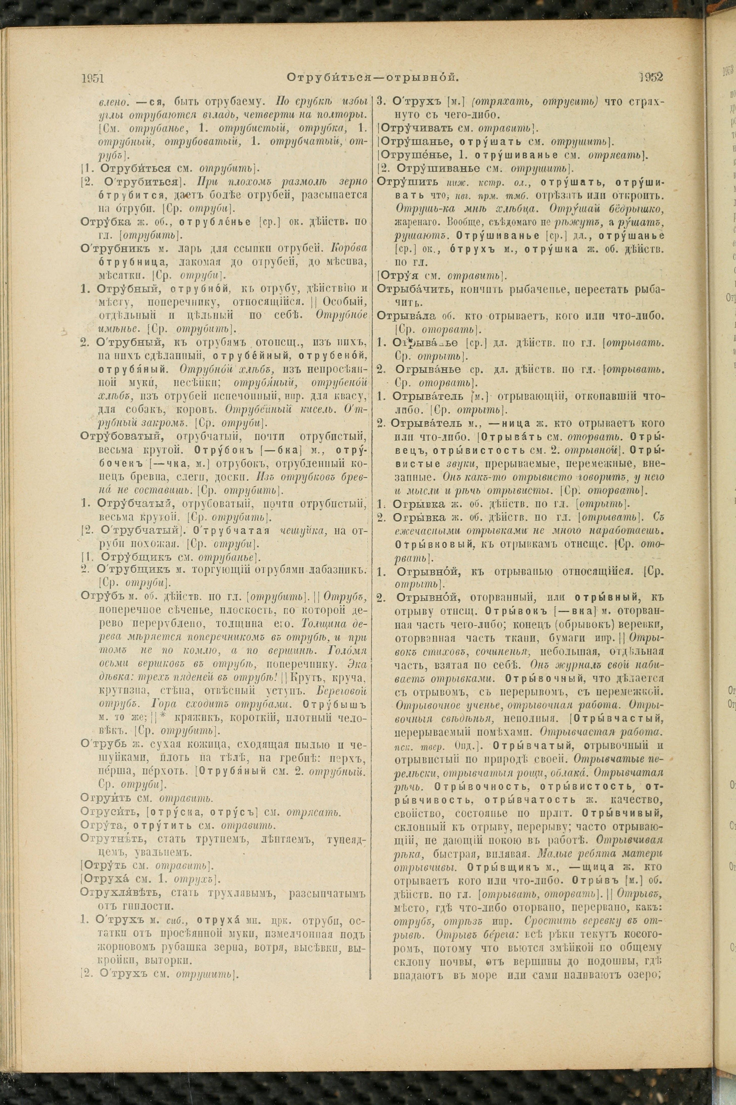 Словарь Даля под редакцией Бодуэна-де-Куртенэ, том 2 pdf скан страницы 980