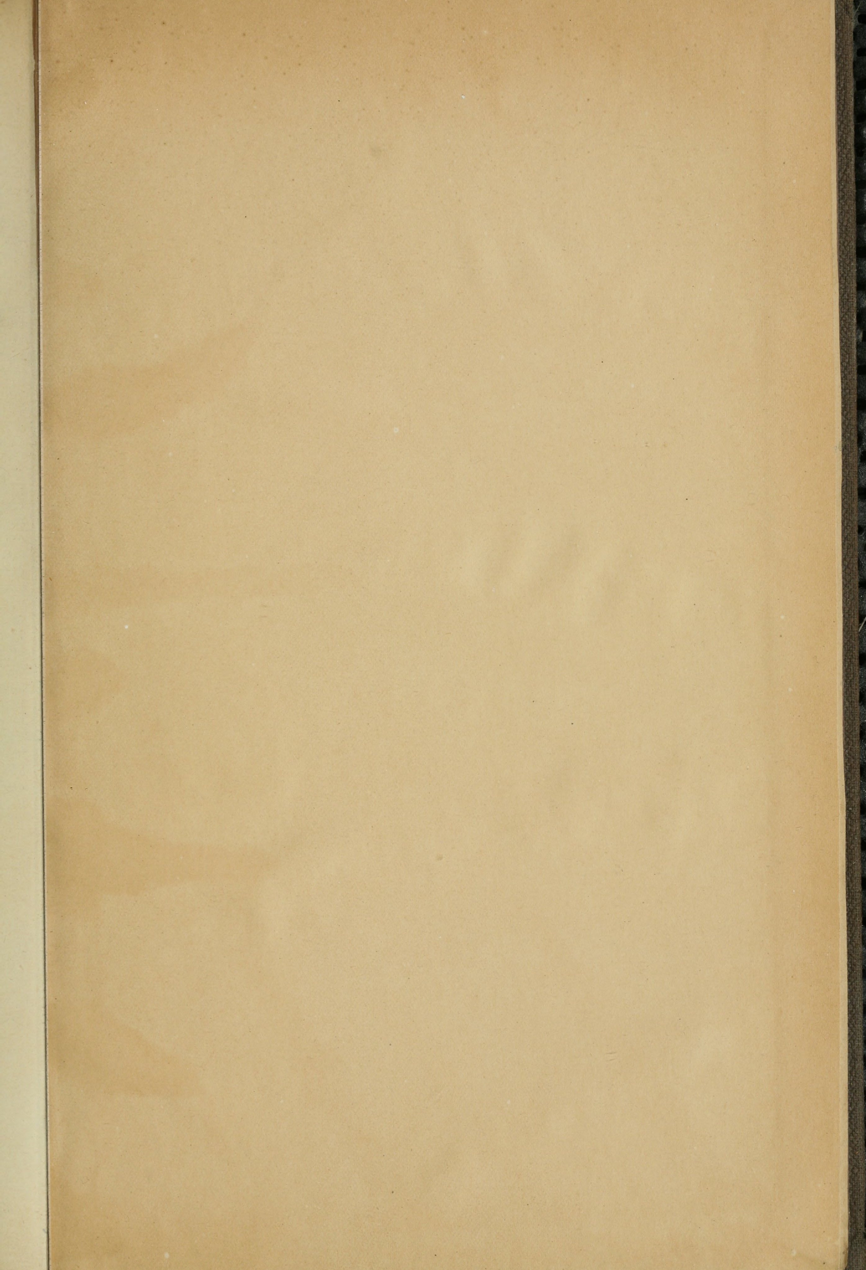Словарь Даля под редакцией Бодуэна-де-Куртенэ, том 2 pdf скан страницы 1021