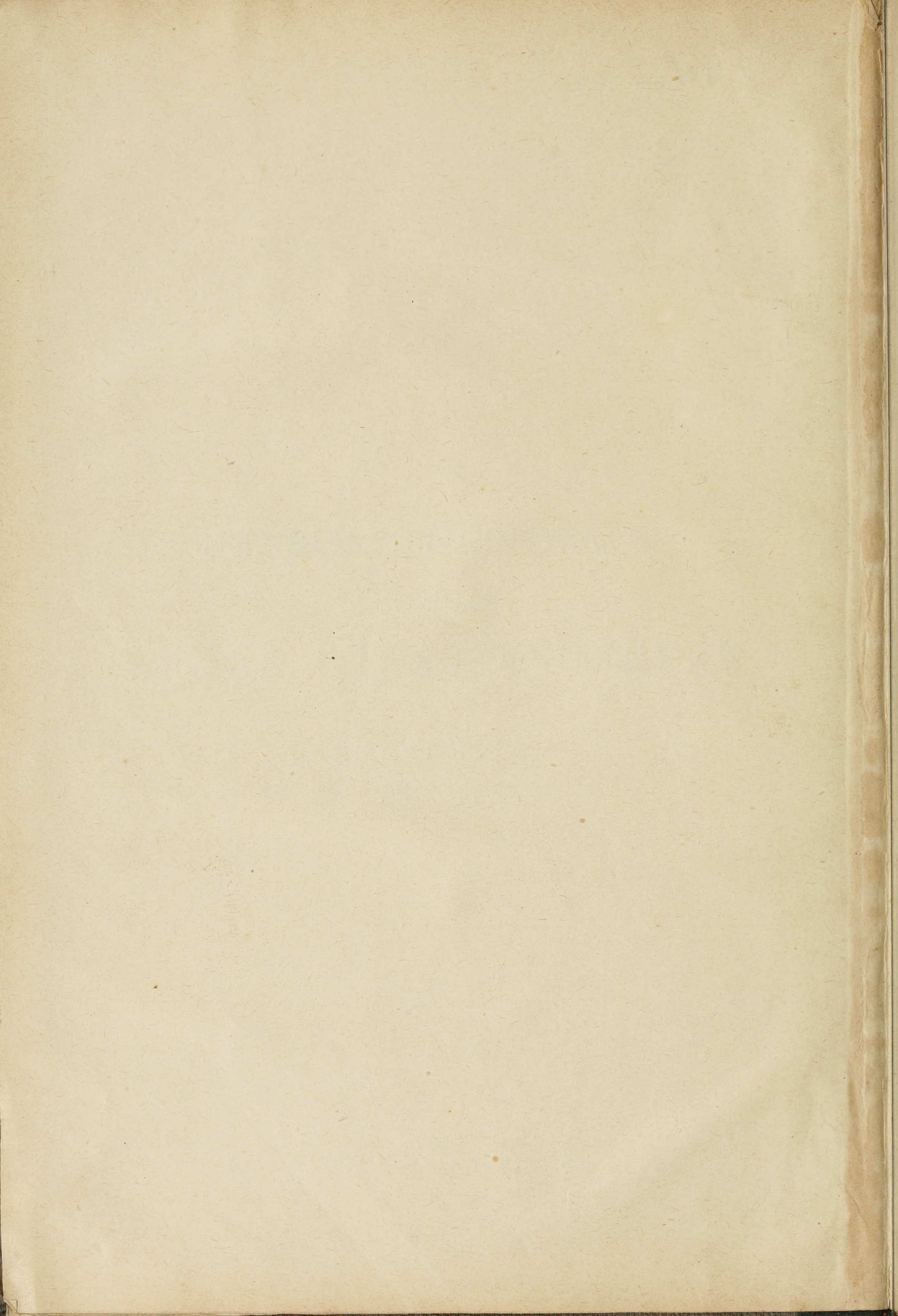 Словарь Даля под редакцией Бодуэна-де-Куртенэ, том 3 pdf скан страницы 2