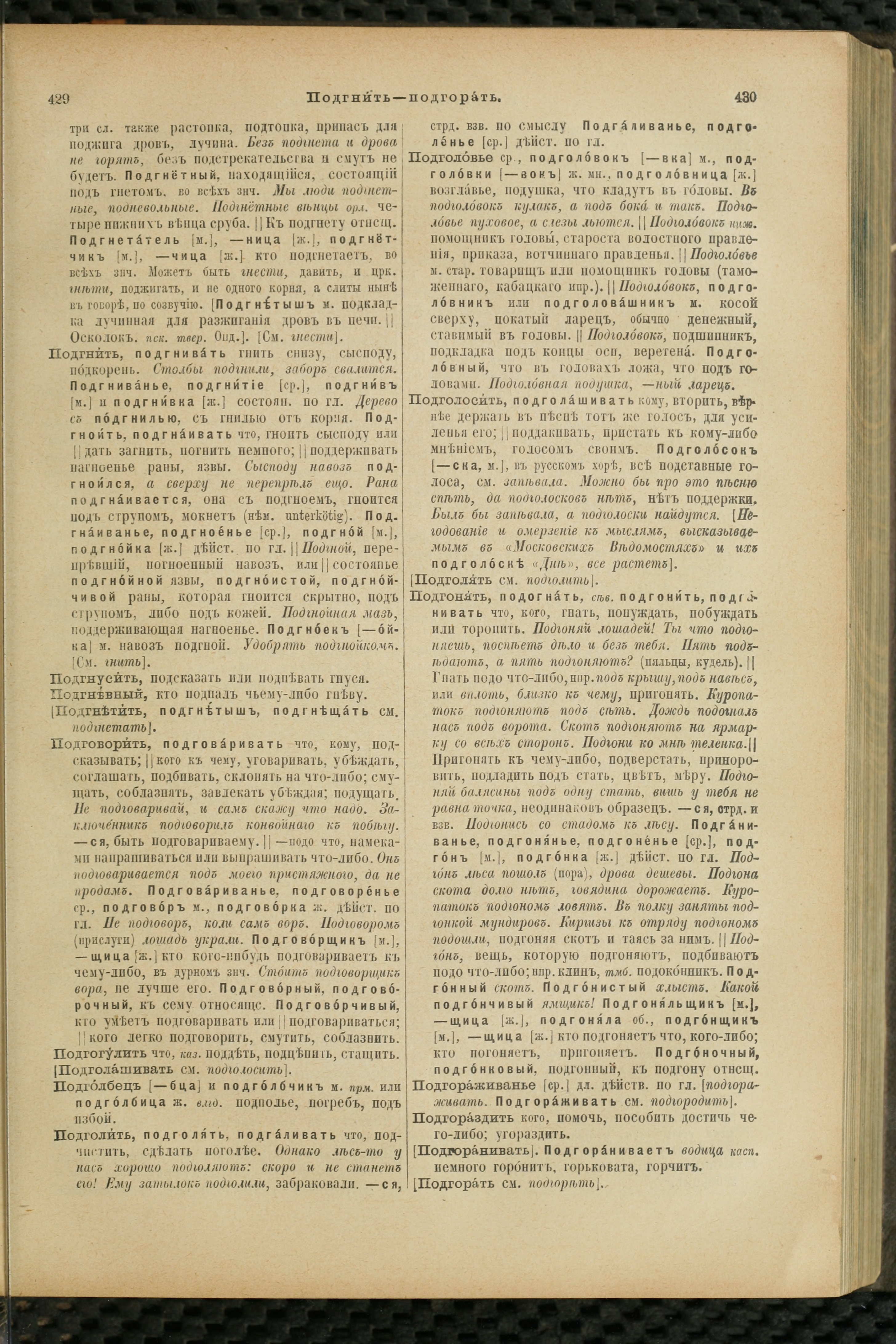 Словарь Даля под редакцией Бодуэна-де-Куртенэ, том 3 pdf скан страницы 219