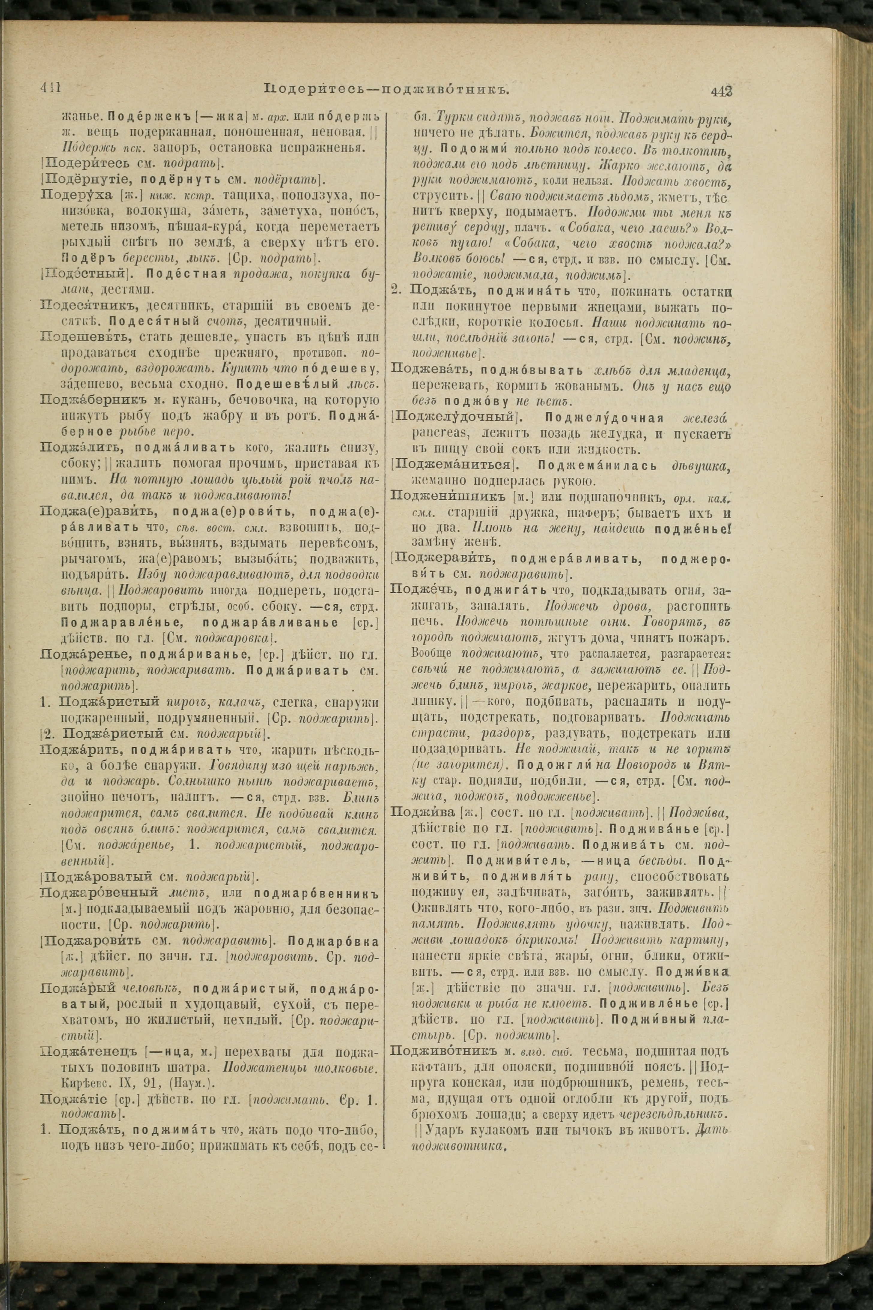 Словарь Даля под редакцией Бодуэна-де-Куртенэ, том 3 pdf скан страницы 225