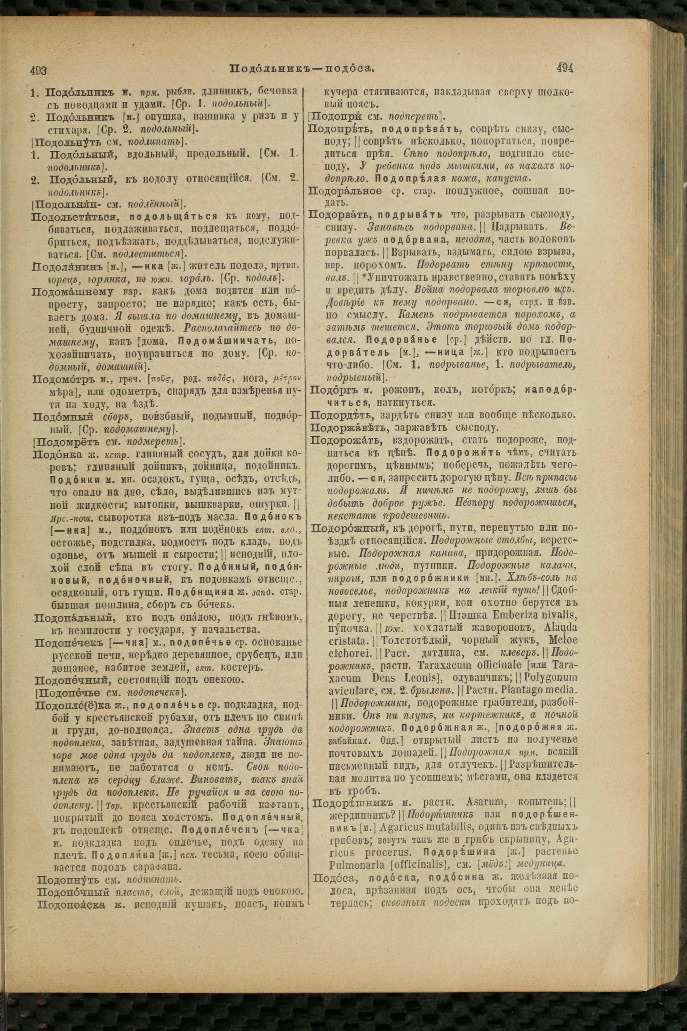 Словарь Даля под редакцией Бодуэна-де-Куртенэ, том 3 pdf скан страницы 251