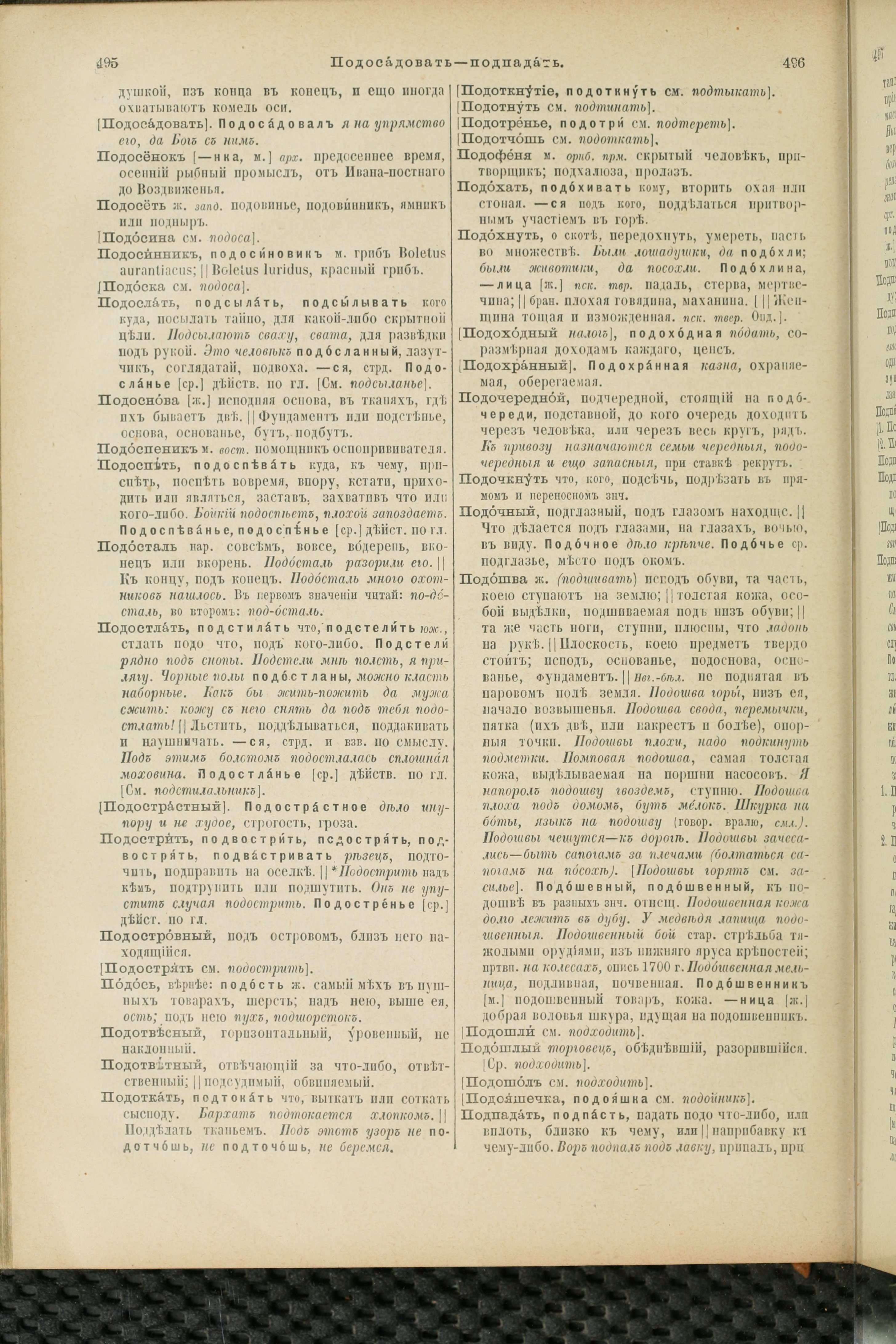 Словарь Даля под редакцией Бодуэна-де-Куртенэ, том 3 pdf скан страницы 252