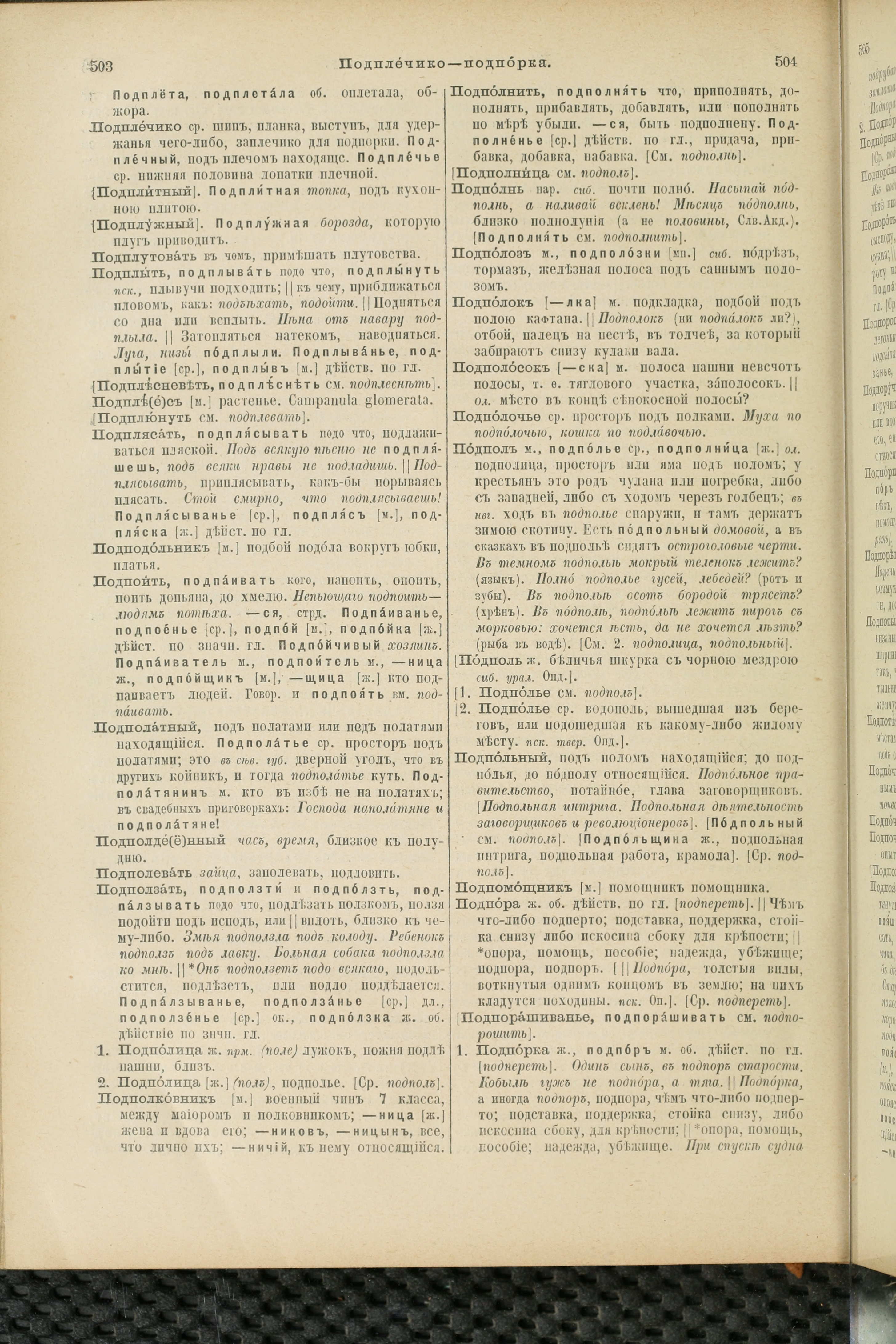 Словарь Даля под редакцией Бодуэна-де-Куртенэ, том 3 pdf скан страницы 256