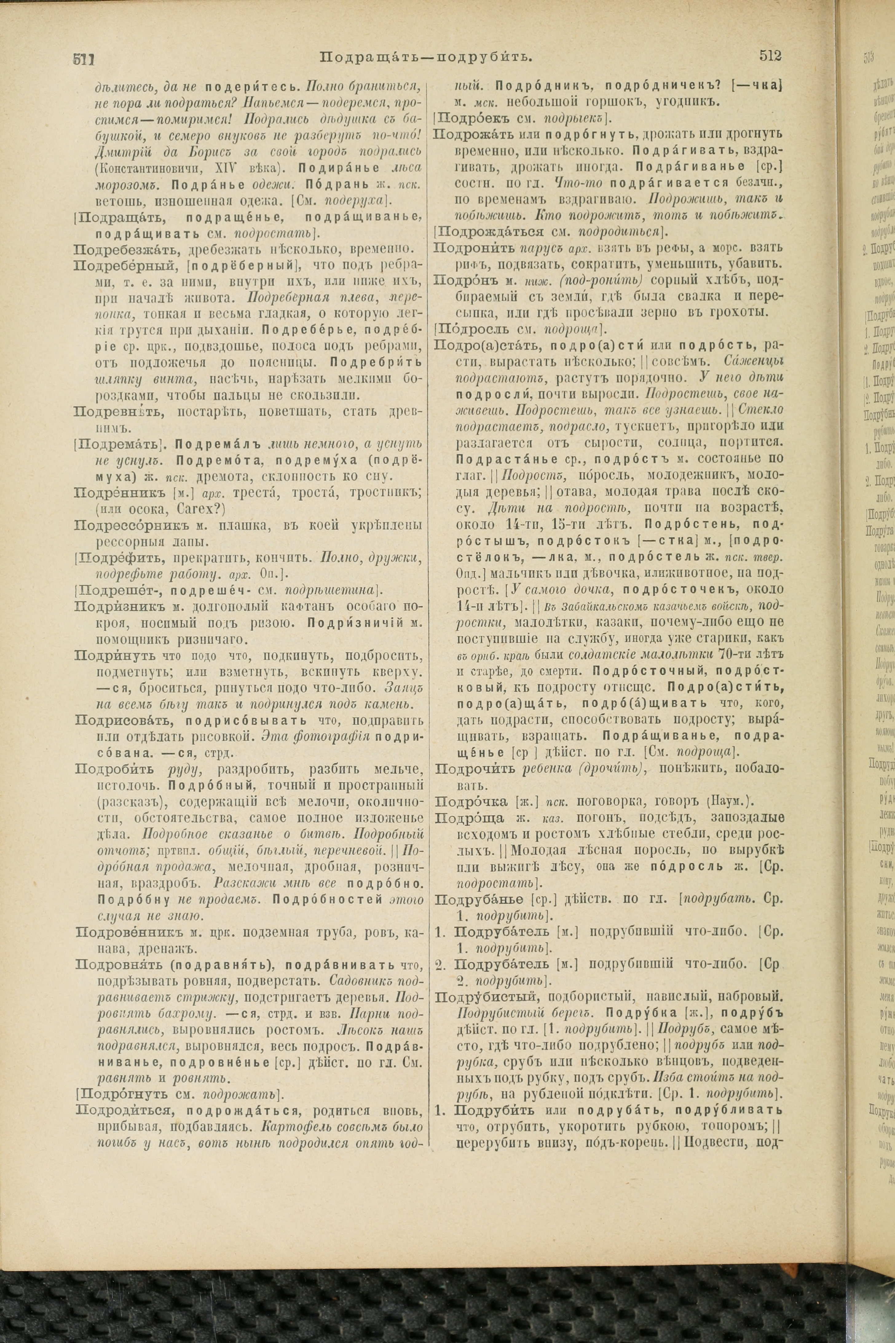 Словарь Даля под редакцией Бодуэна-де-Куртенэ, том 3 pdf скан страницы 260