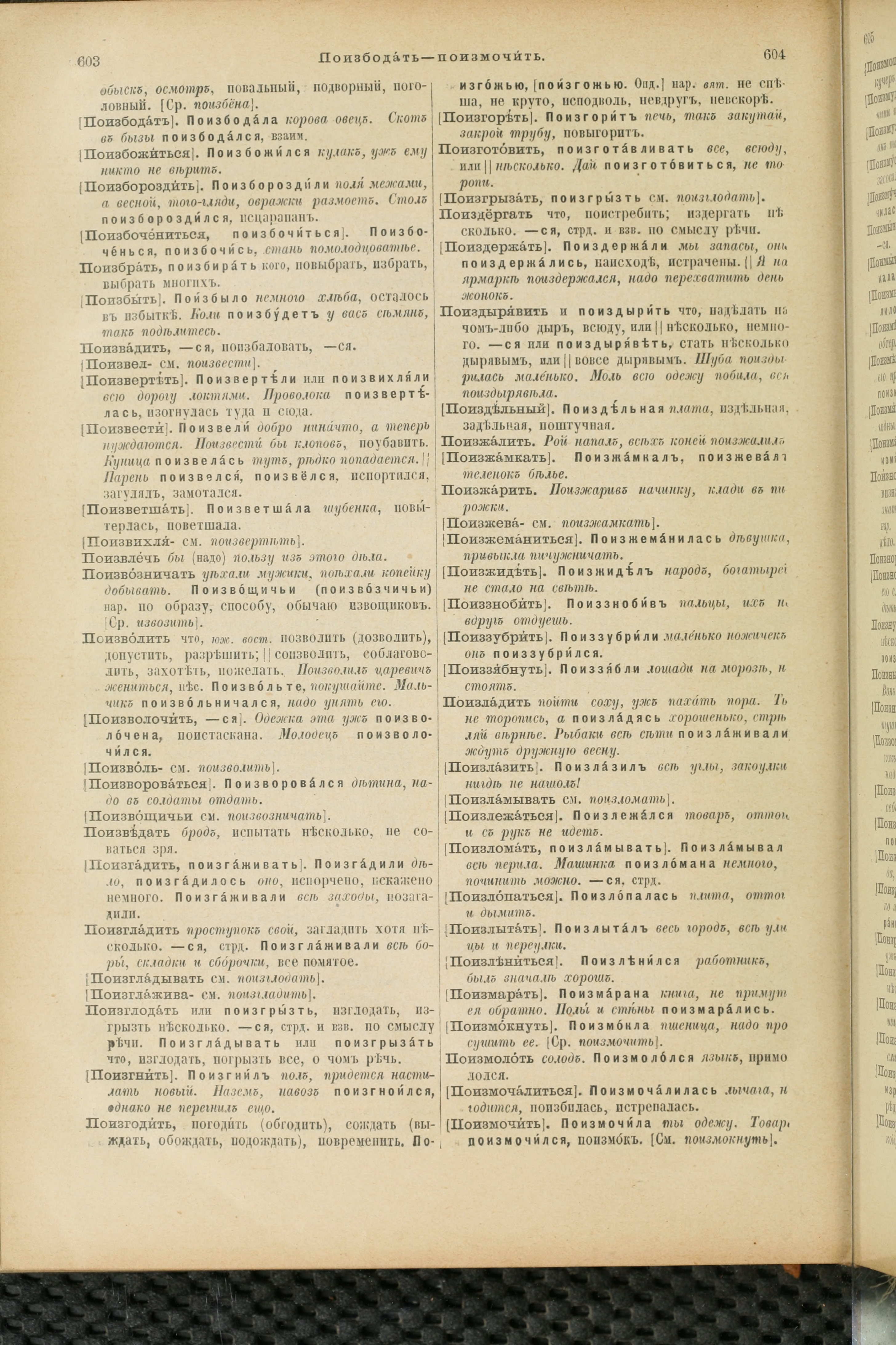Словарь Даля под редакцией Бодуэна-де-Куртенэ, том 3 pdf скан страницы 306