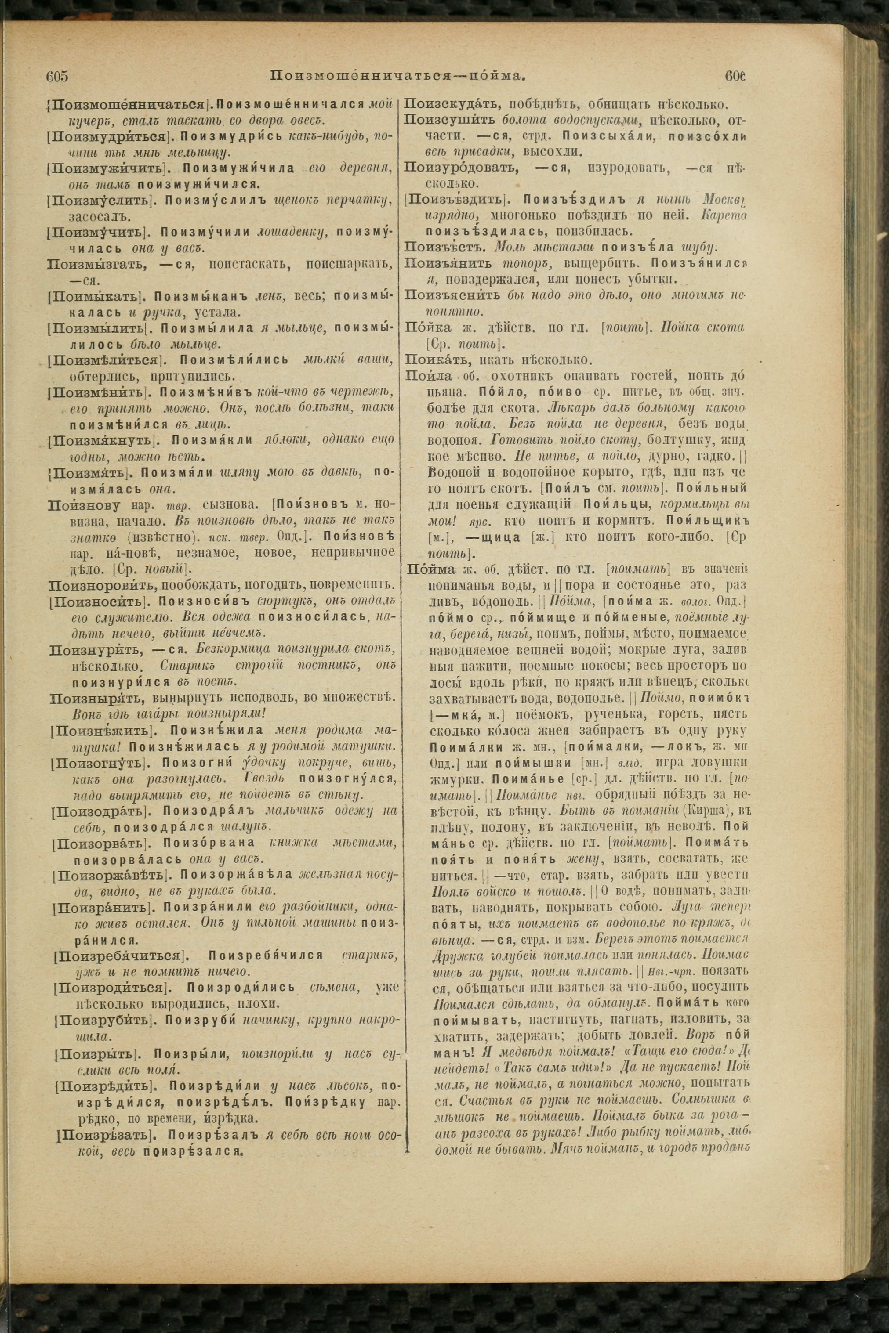 Словарь Даля под редакцией Бодуэна-де-Куртенэ, том 3 pdf скан страницы 307