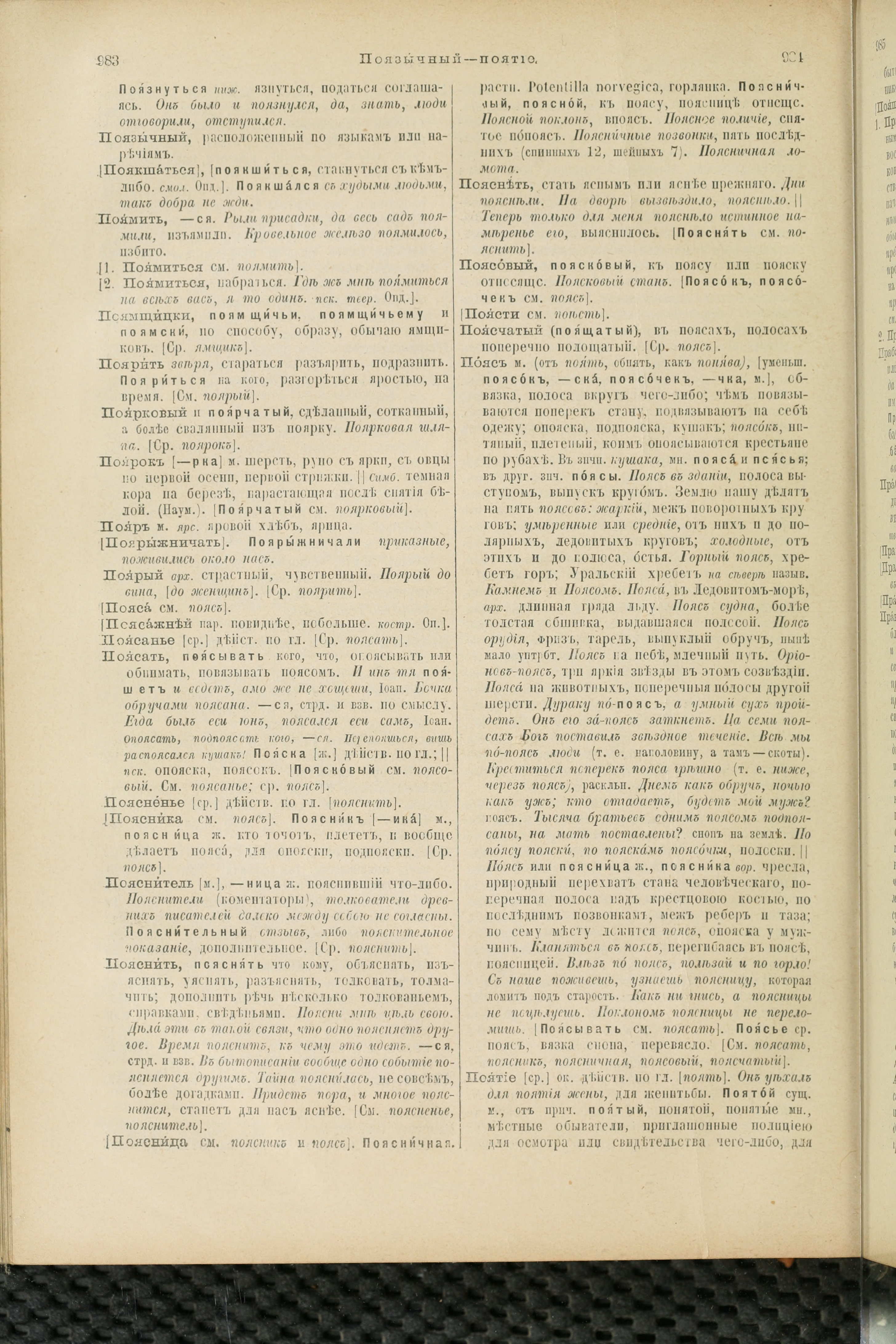 Словарь Даля под редакцией Бодуэна-де-Куртенэ, том 3 pdf скан страницы 496
