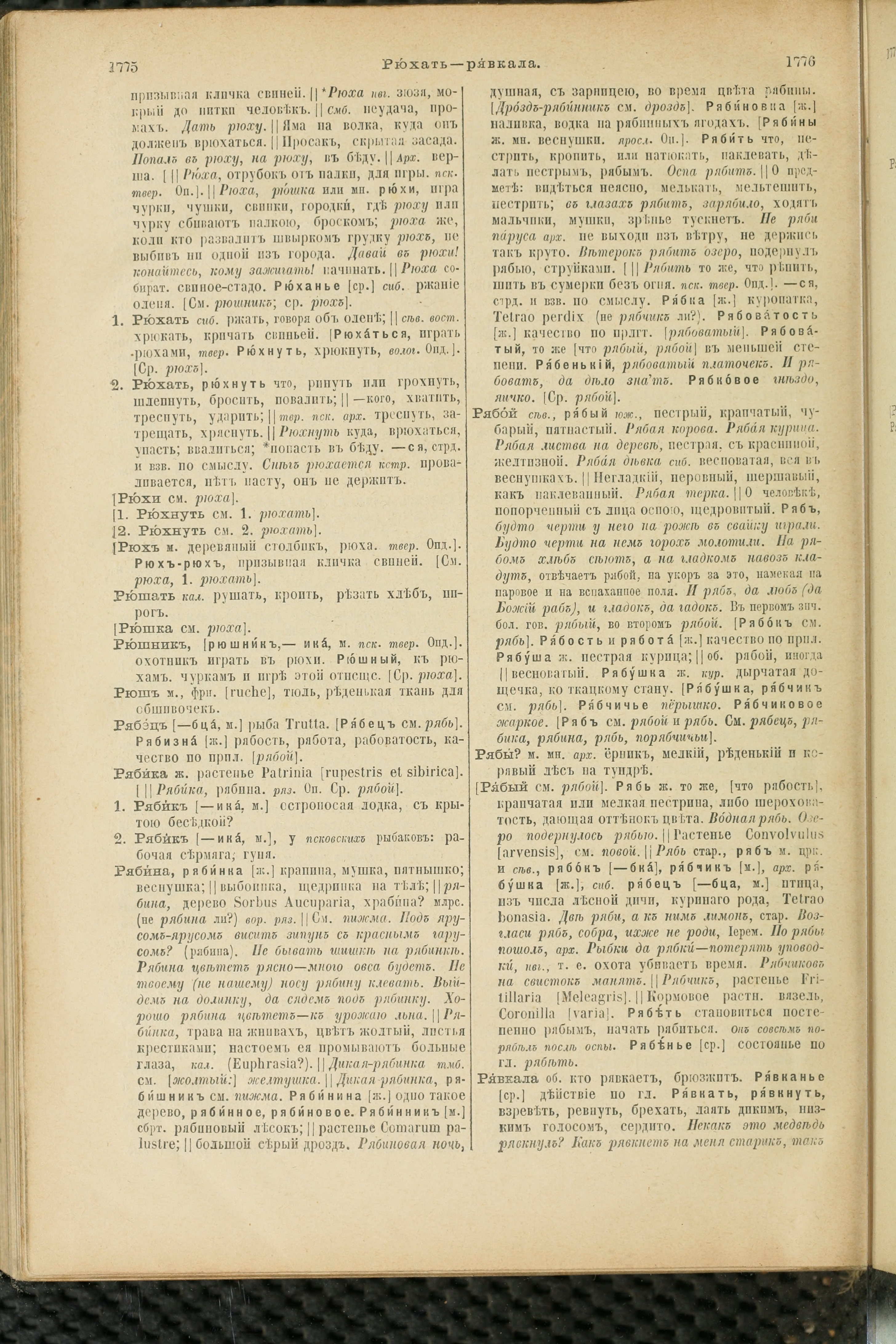 Словарь Даля под редакцией Бодуэна-де-Куртенэ, том 3 pdf скан страницы 892
