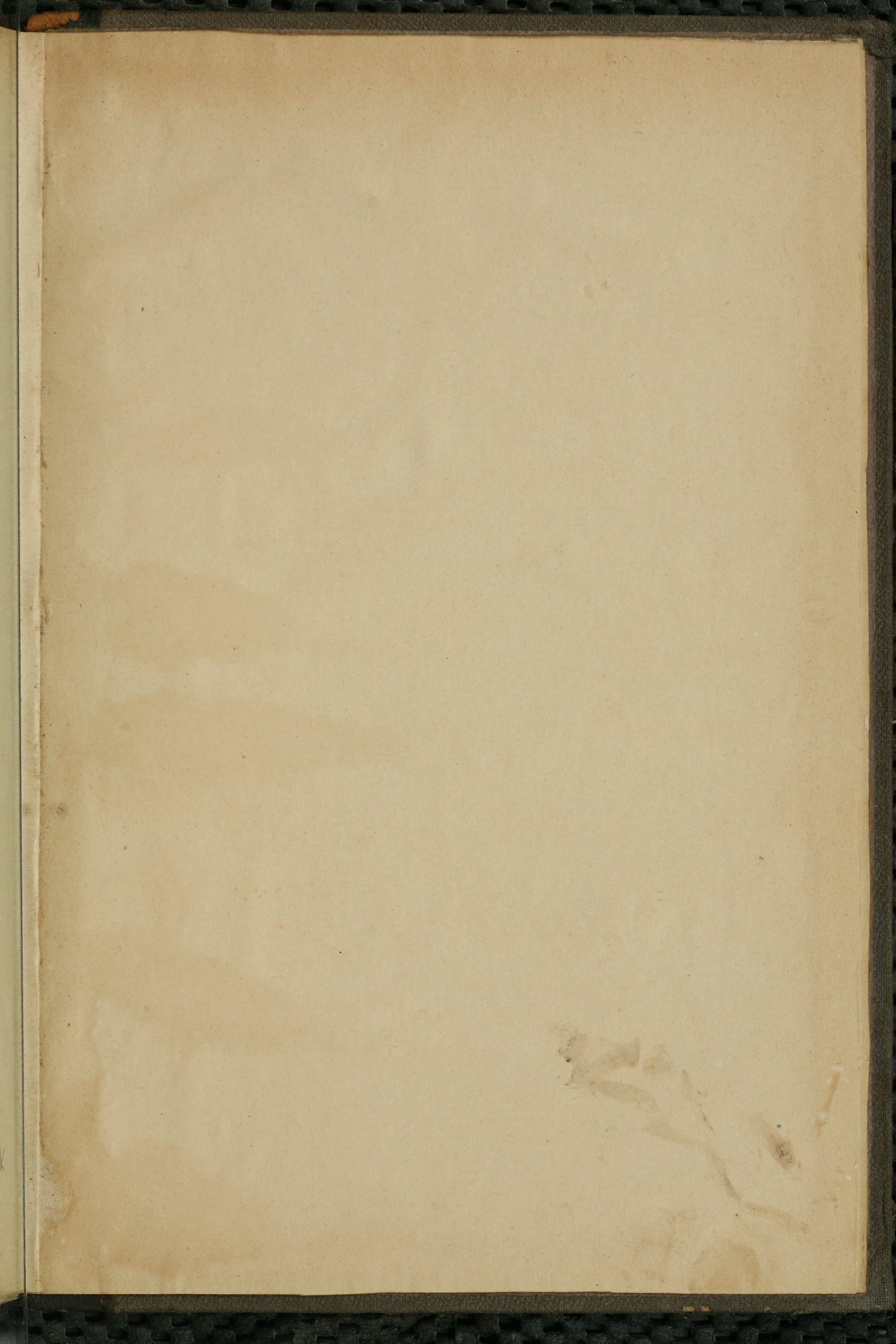 Словарь Даля под редакцией Бодуэна-де-Куртенэ, том 3 pdf скан страницы 897