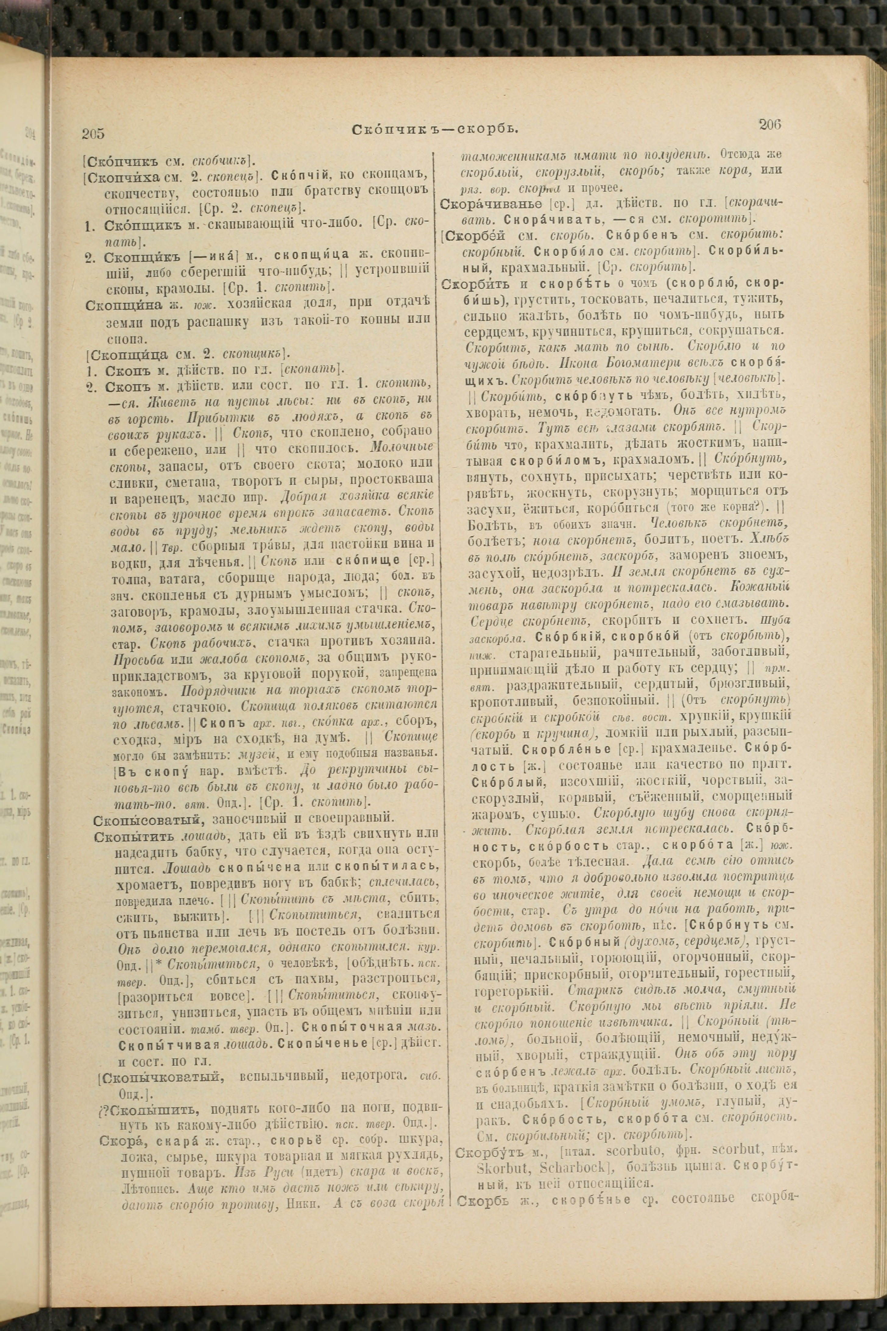 Словарь Даля под редакцией Бодуэна-де-Куртенэ, том 4 pdf скан страницы 113