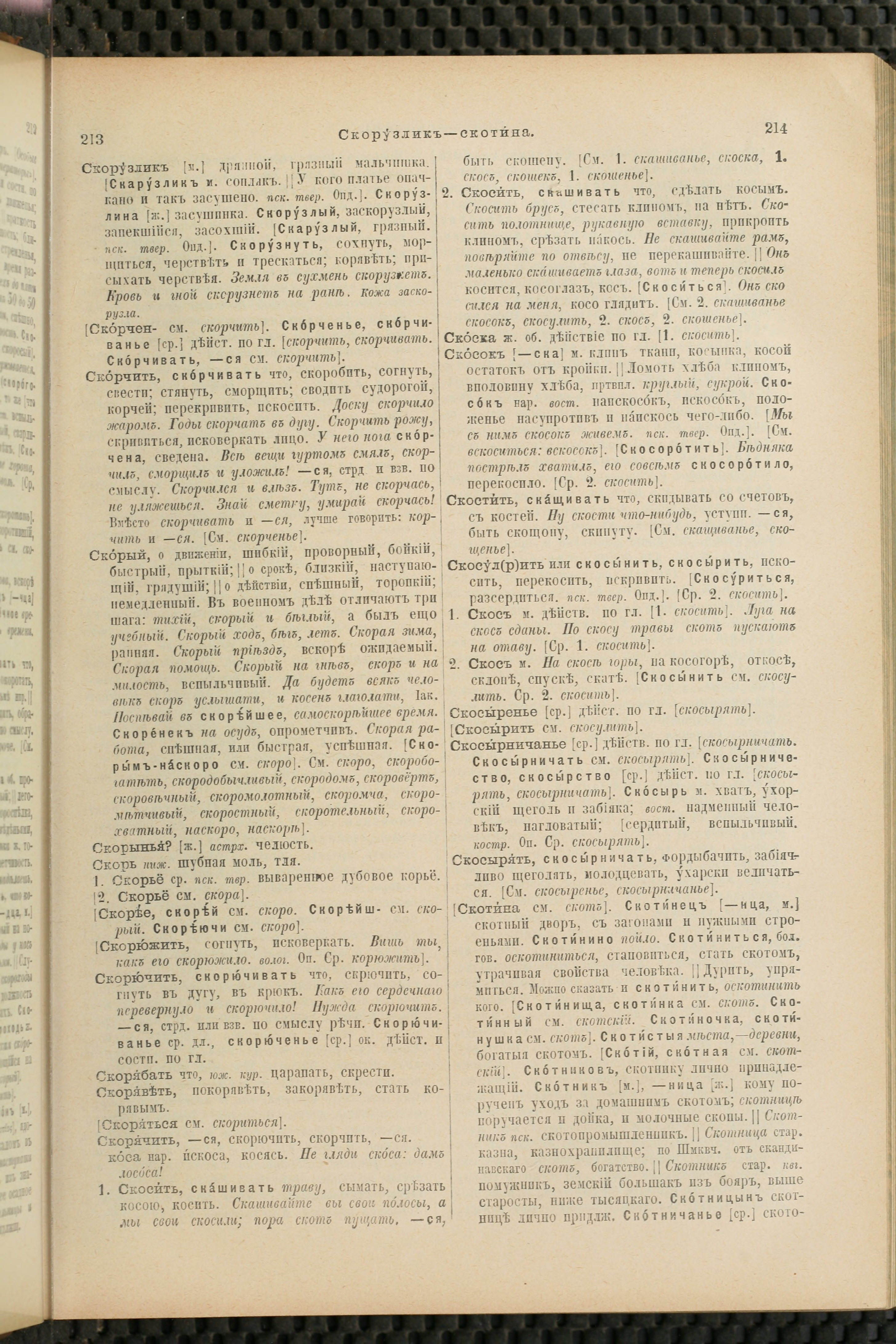 Словарь Даля под редакцией Бодуэна-де-Куртенэ, том 4 pdf скан страницы 117