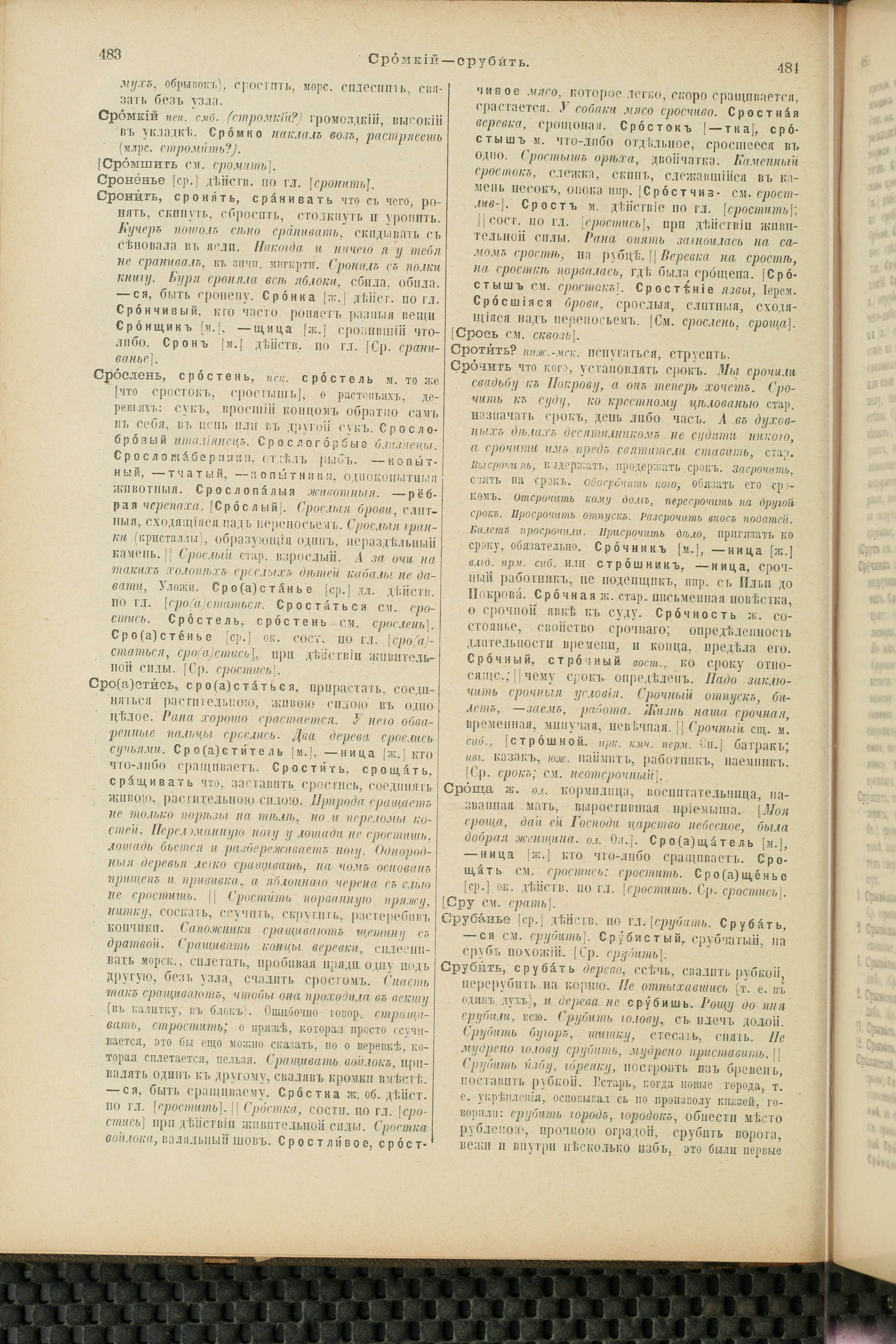 Словарь Даля под редакцией Бодуэна-де-Куртенэ, том 4 pdf скан страницы 252