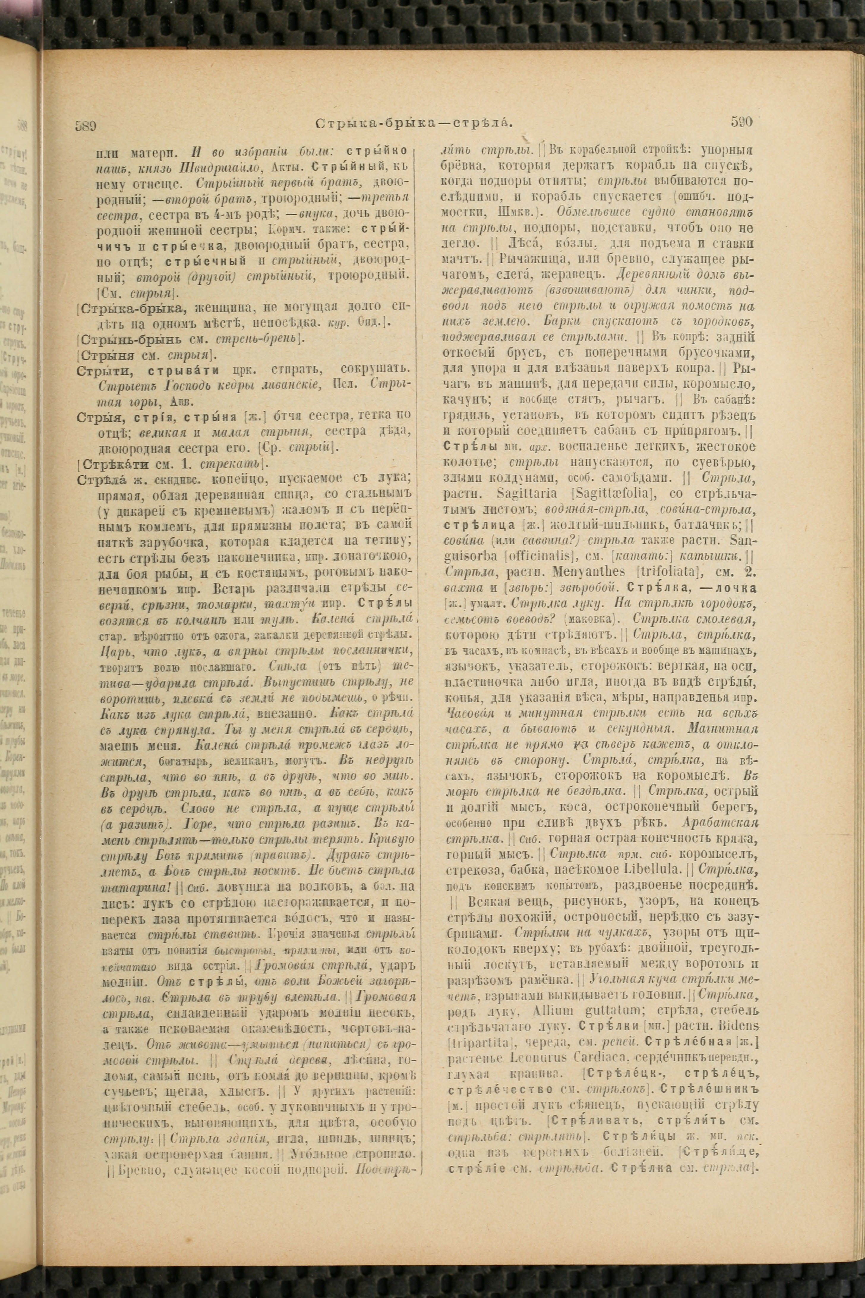 Словарь Даля под редакцией Бодуэна-де-Куртенэ, том 4 pdf скан страницы 305
