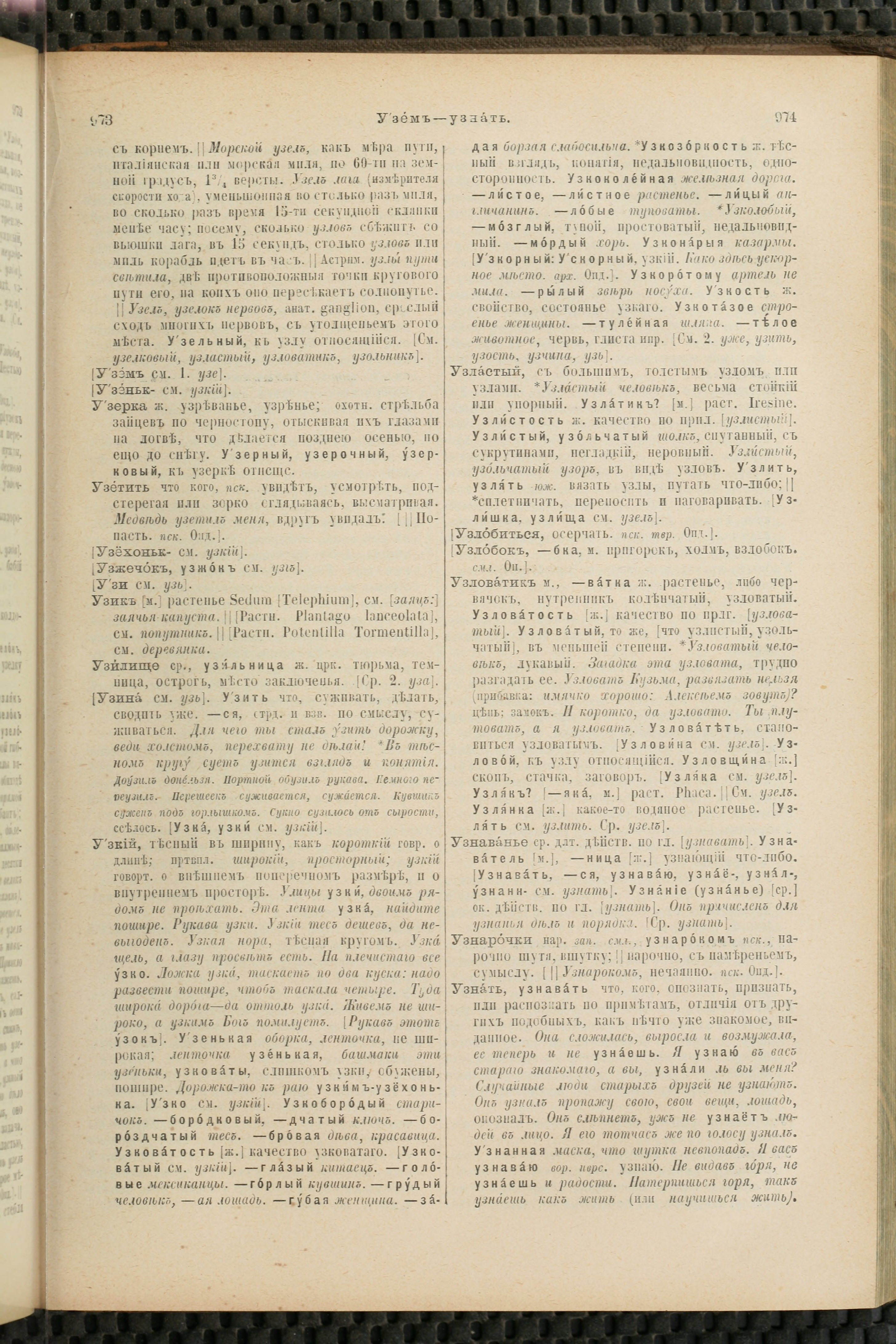 Словарь Даля под редакцией Бодуэна-де-Куртенэ, том 4 pdf скан страницы 497