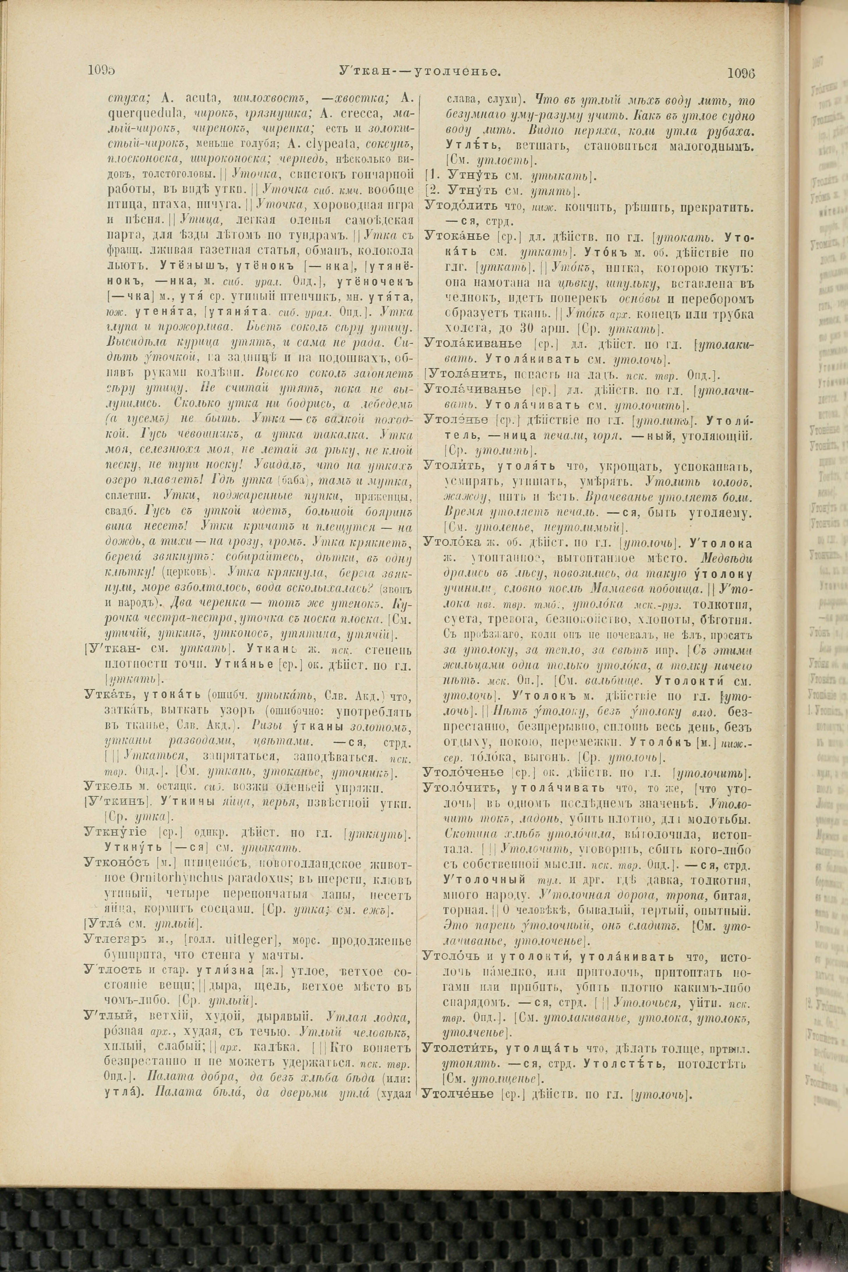 Словарь Даля под редакцией Бодуэна-де-Куртенэ, том 4 pdf скан страницы 558