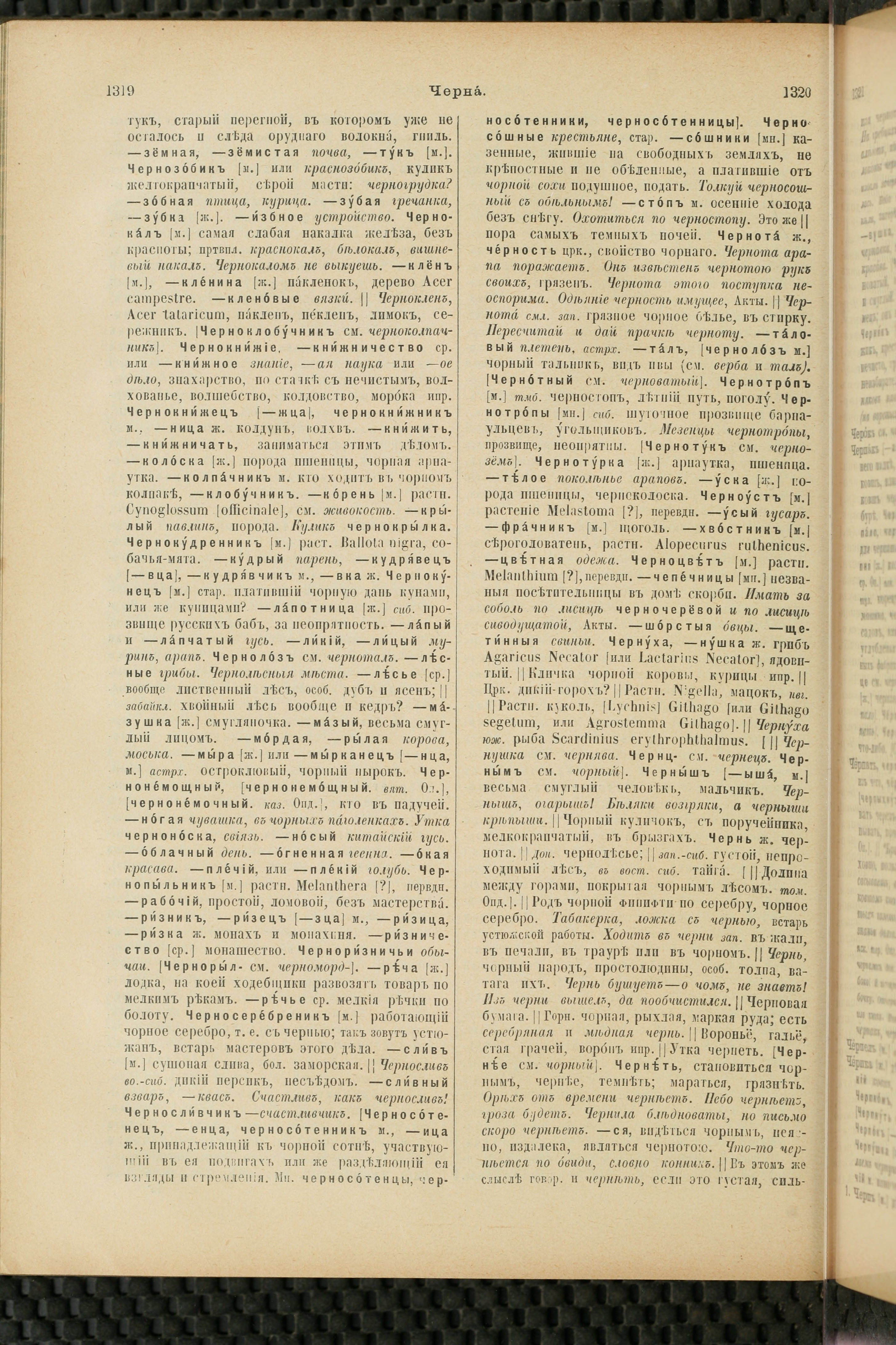 Словарь Даля под редакцией Бодуэна-де-Куртенэ, том 4 pdf скан страницы 670