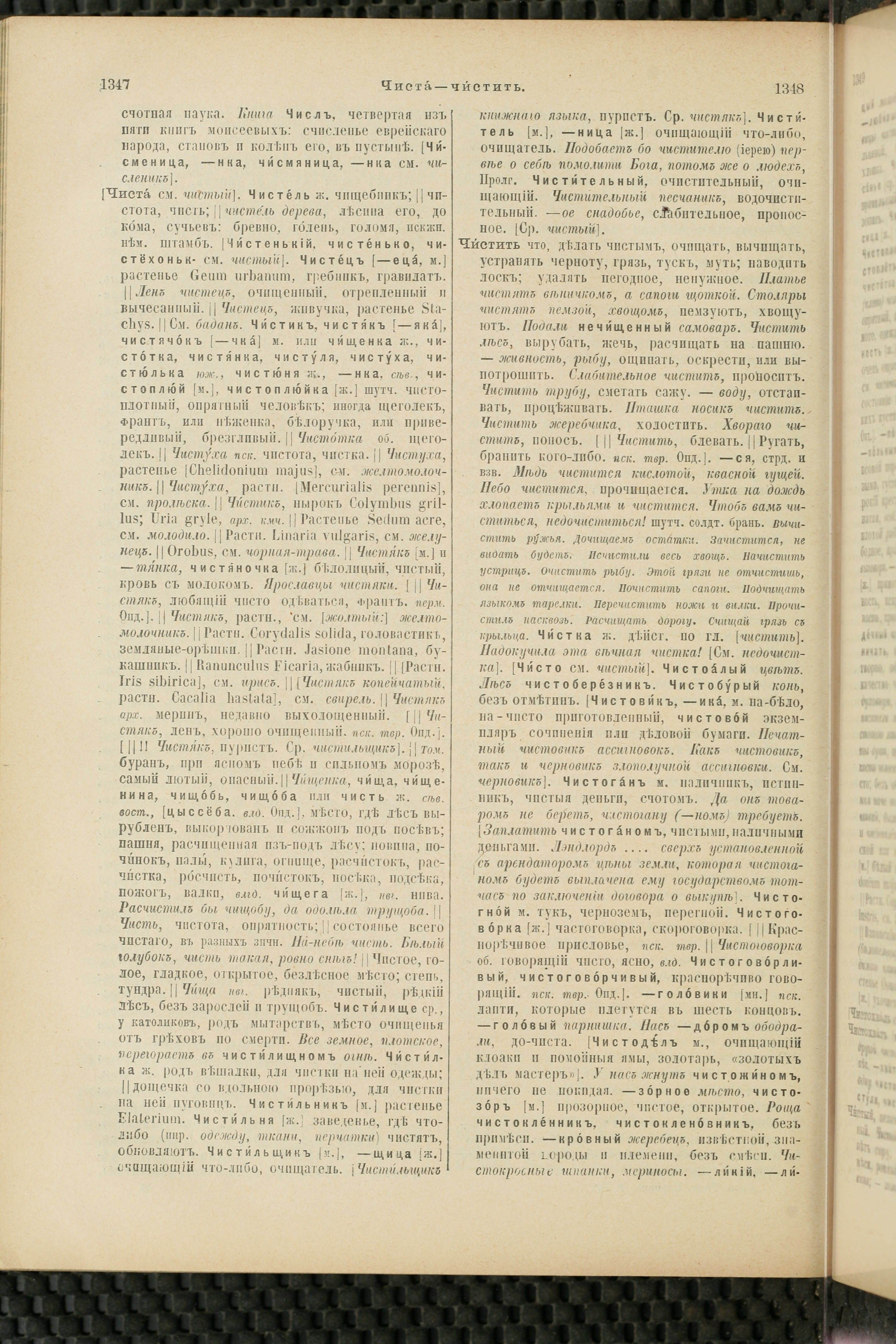 Словарь Даля под редакцией Бодуэна-де-Куртенэ, том 4 pdf скан страницы 684