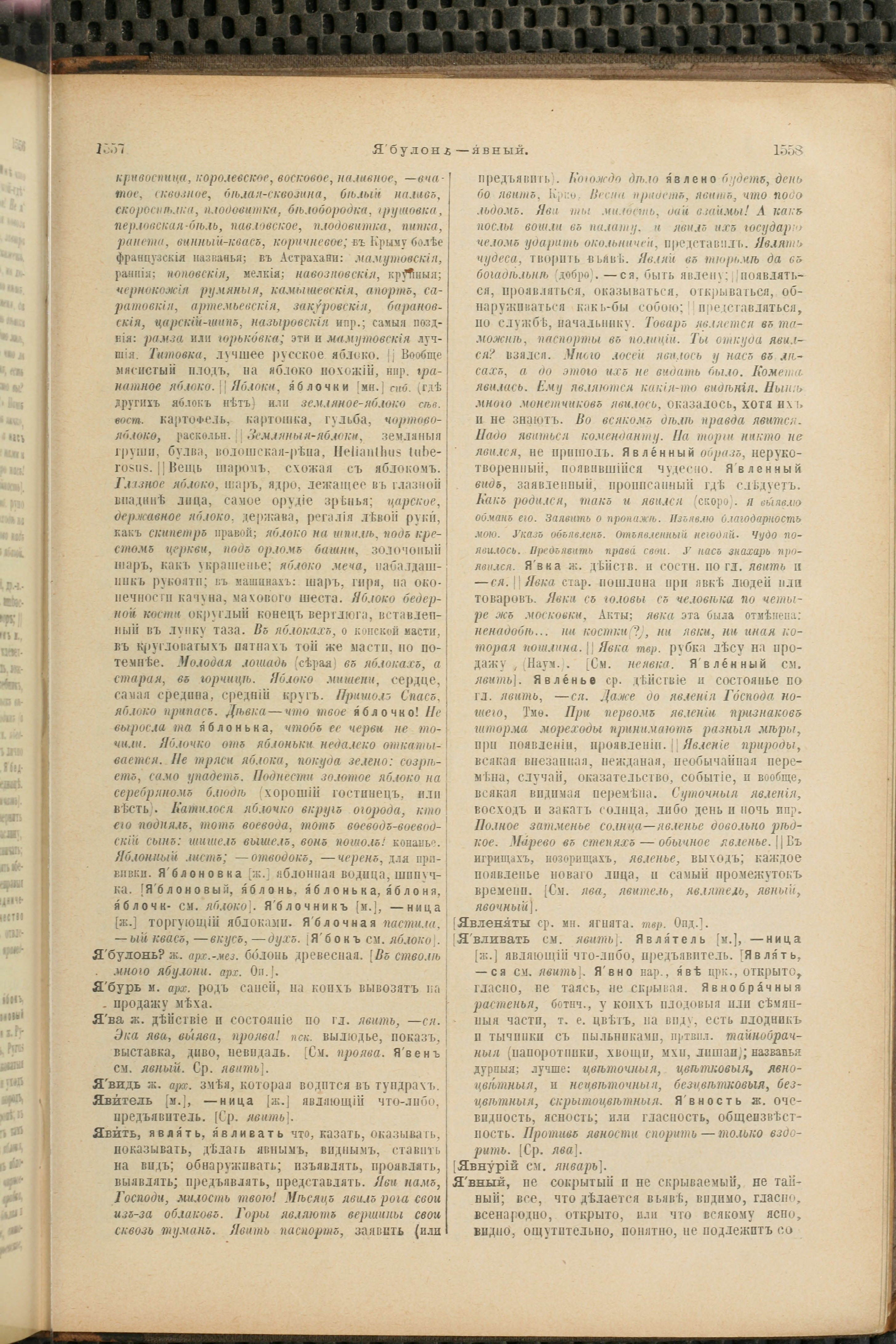 Словарь Даля под редакцией Бодуэна-де-Куртенэ, том 4 pdf скан страницы 789